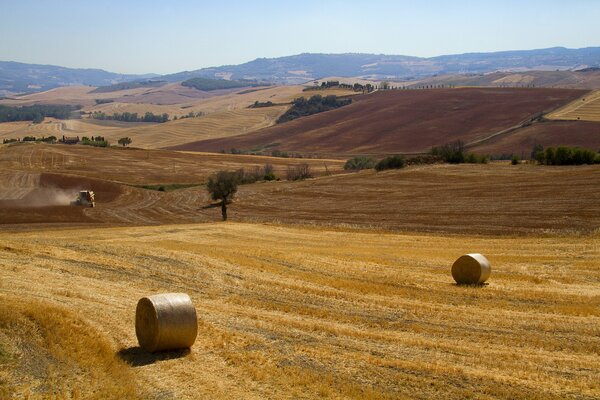 Field cleaning in Italy