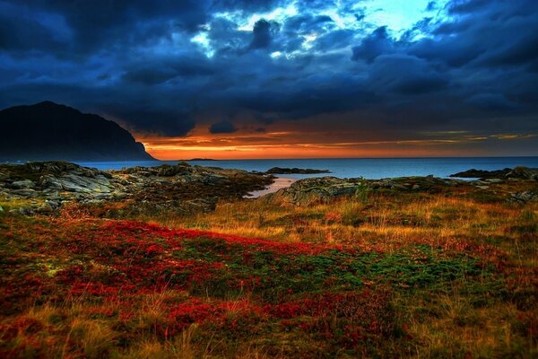 Dark sunset over a colorful meadow