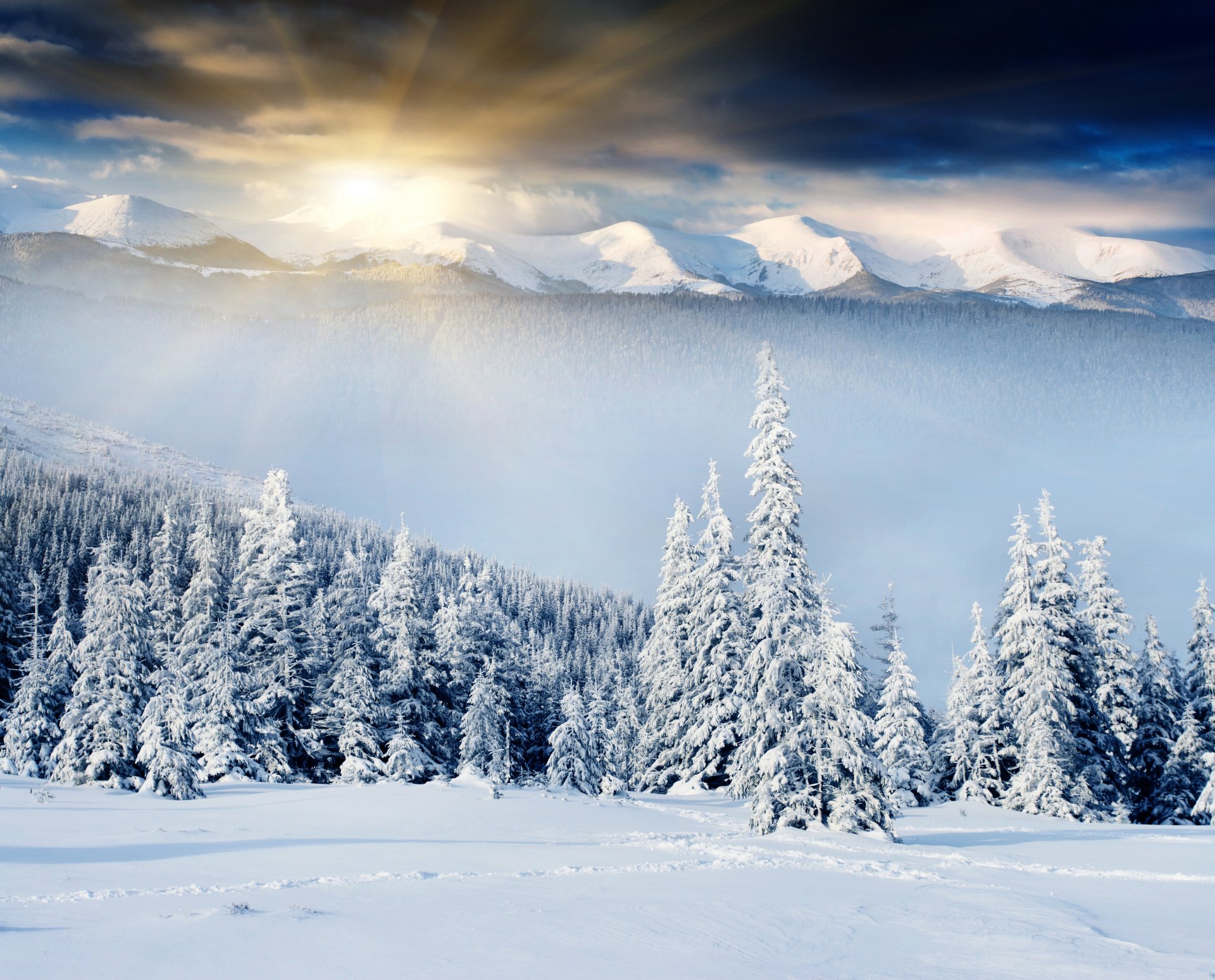 winter hügel schnee drifts spuren wald morgendämmerung