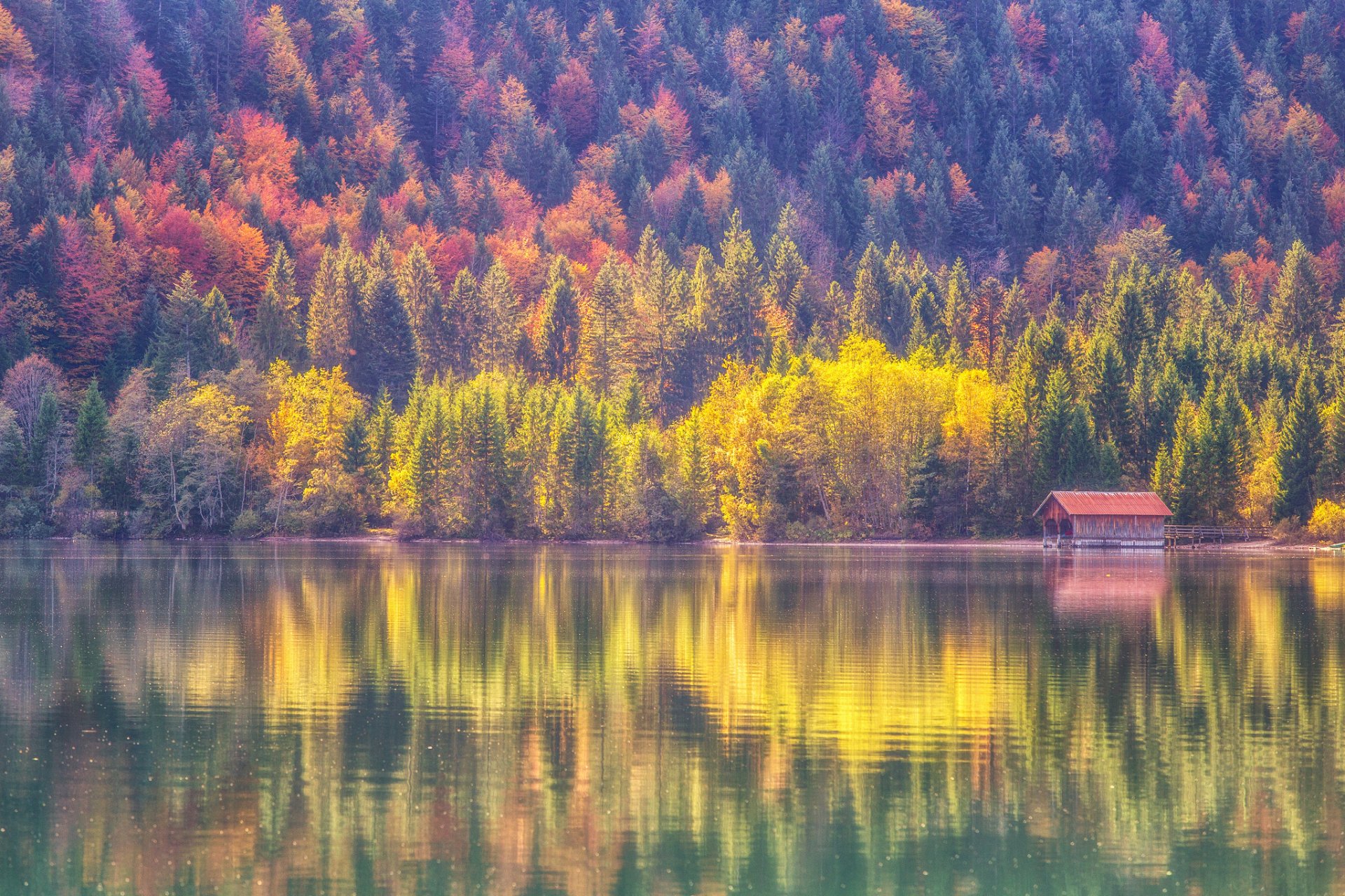 осень лес озеро отражение