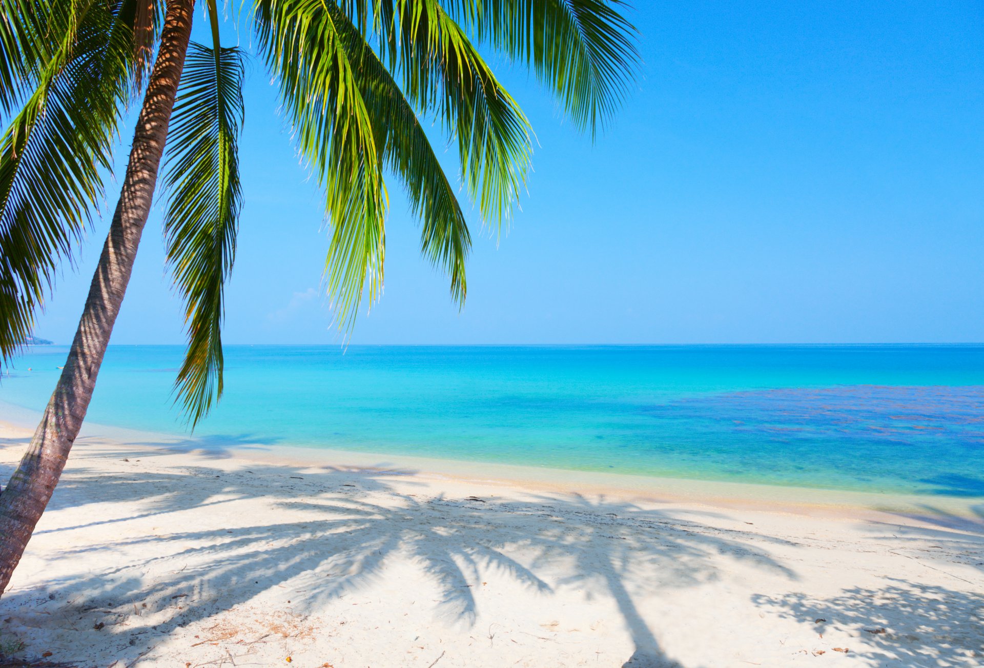 landschaft meer reflexion palme strand sand blauer himmel