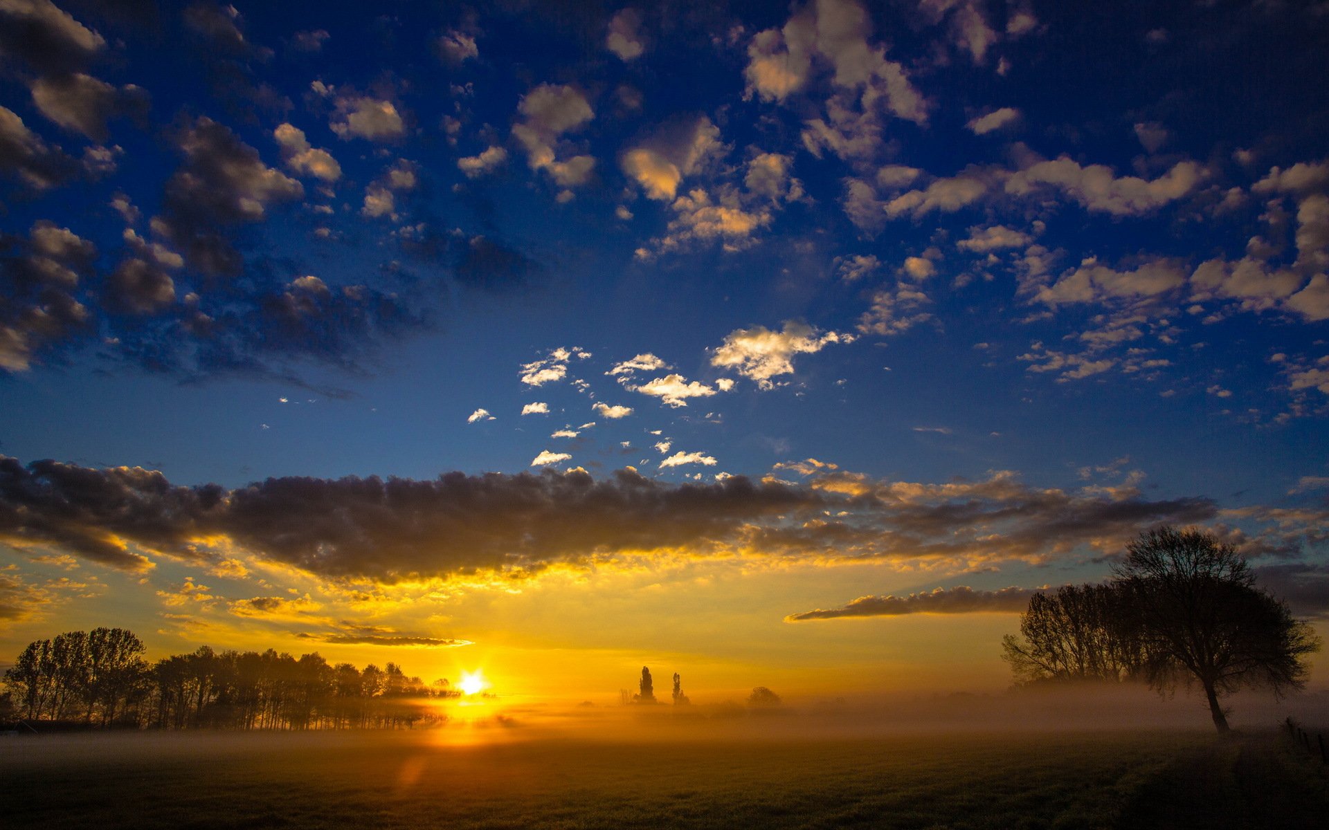 matin champ ciel brouillard nature paysage