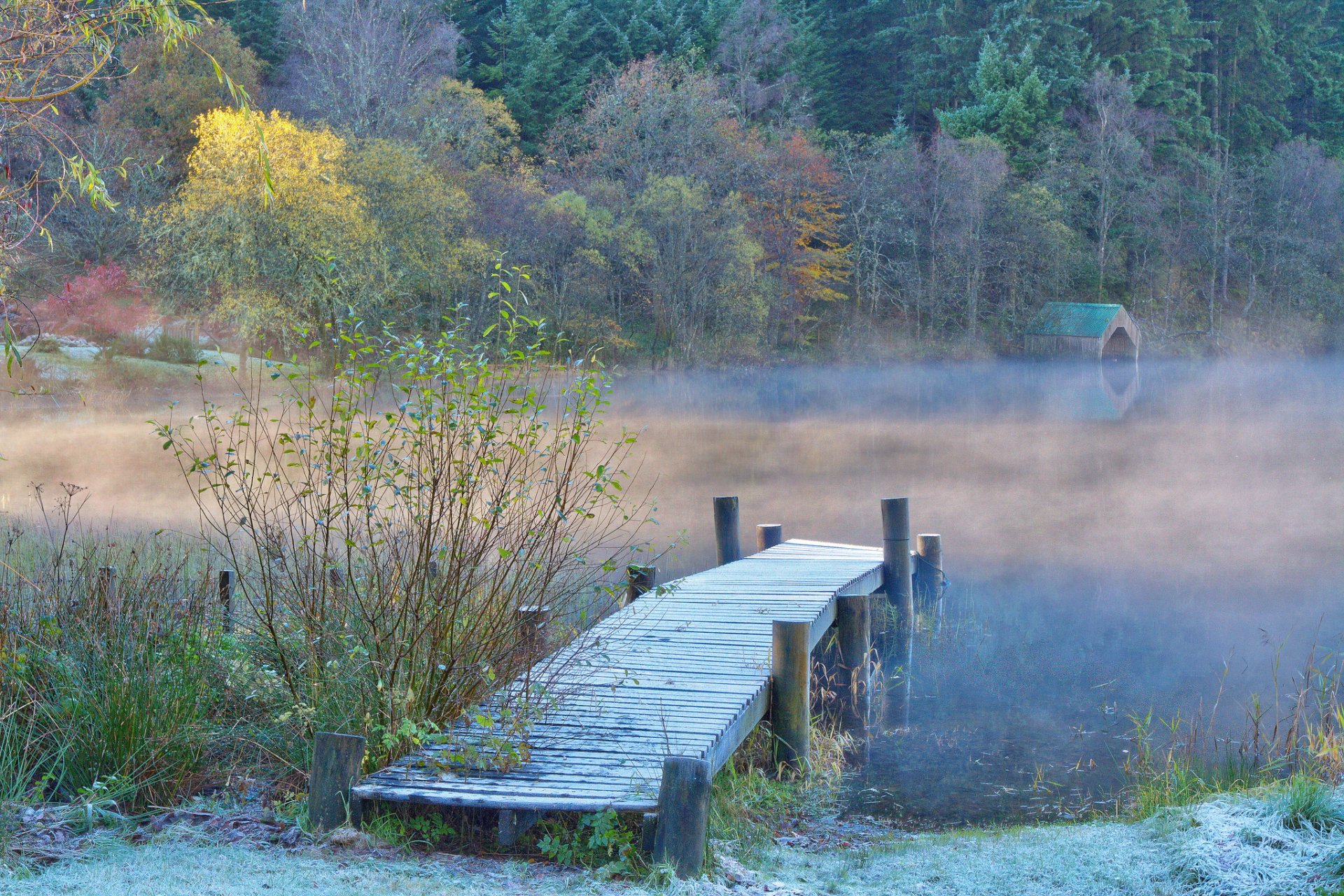 forest river haze bridge autumn frost frost