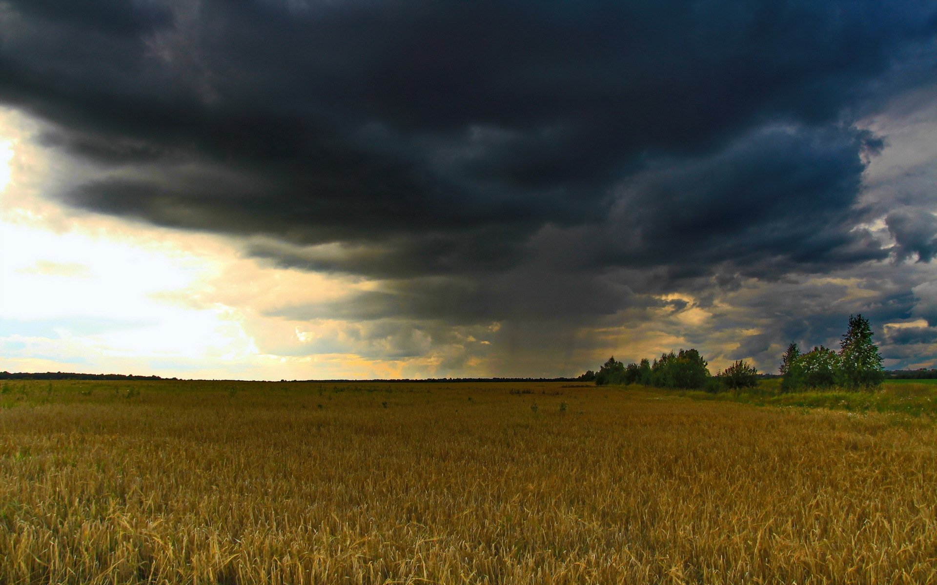 champ pluie nuages paysage