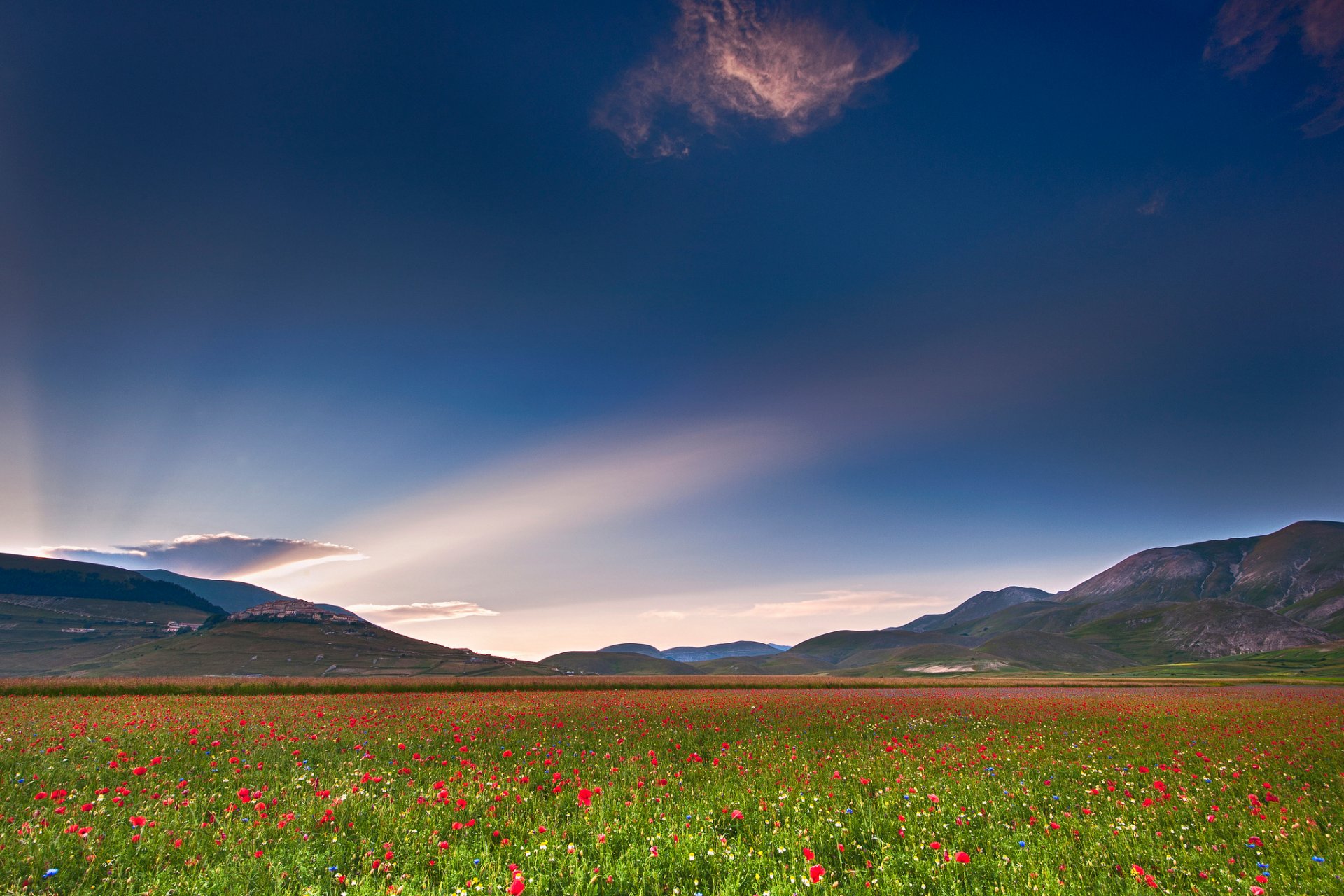 italien umbrien feld mohnblumen himmel licht wolke