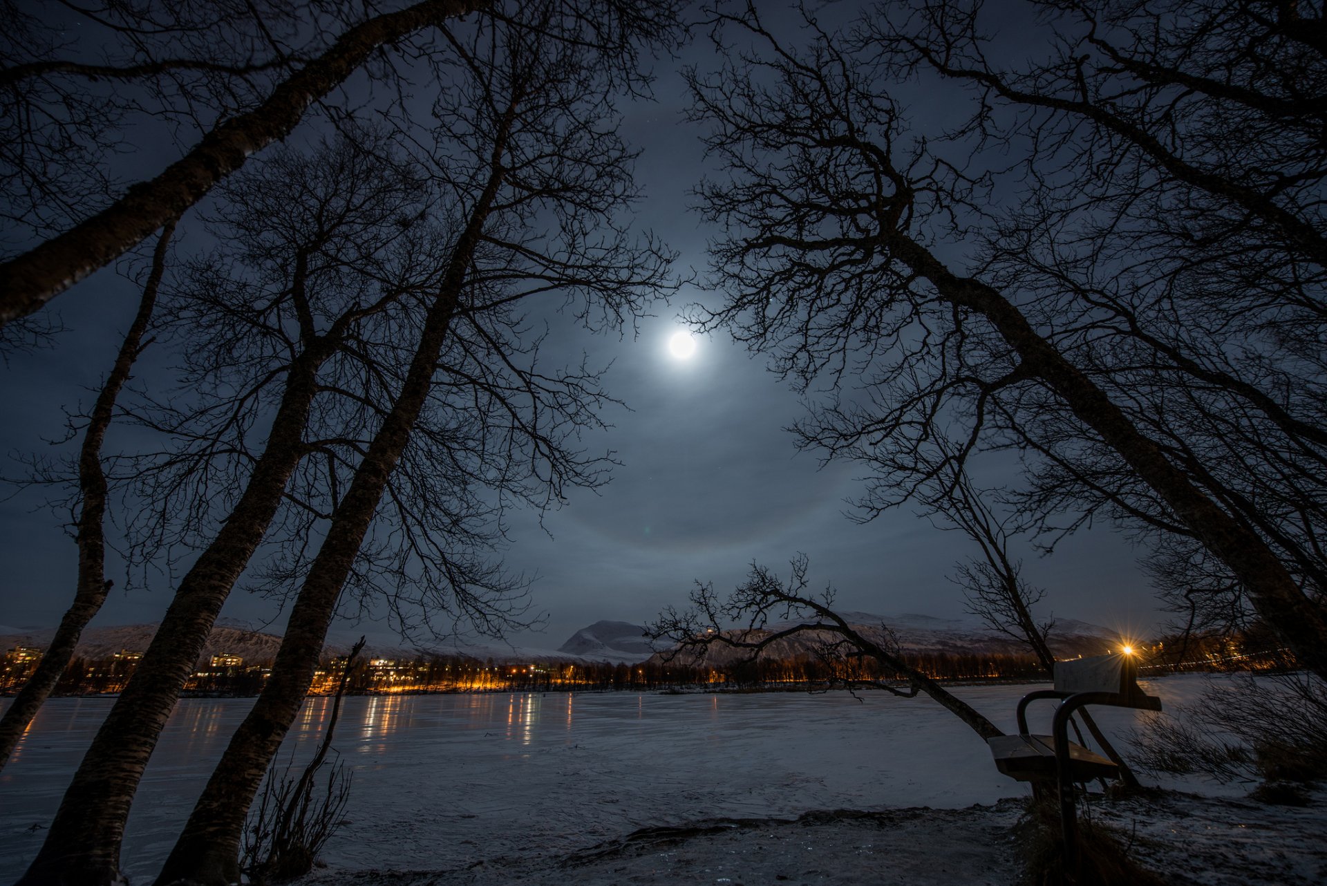 ciudad parque banco lago invierno noche luna luces