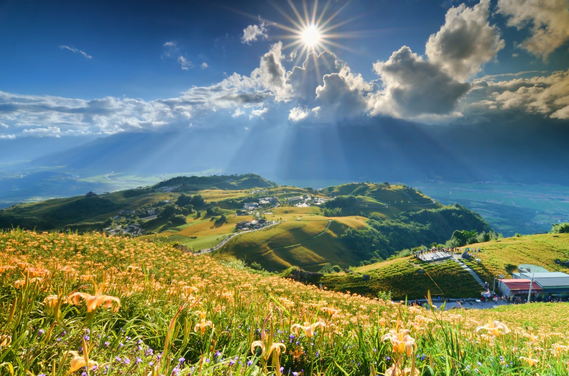 montagne pendio fiori gigli sole nuvole raggi