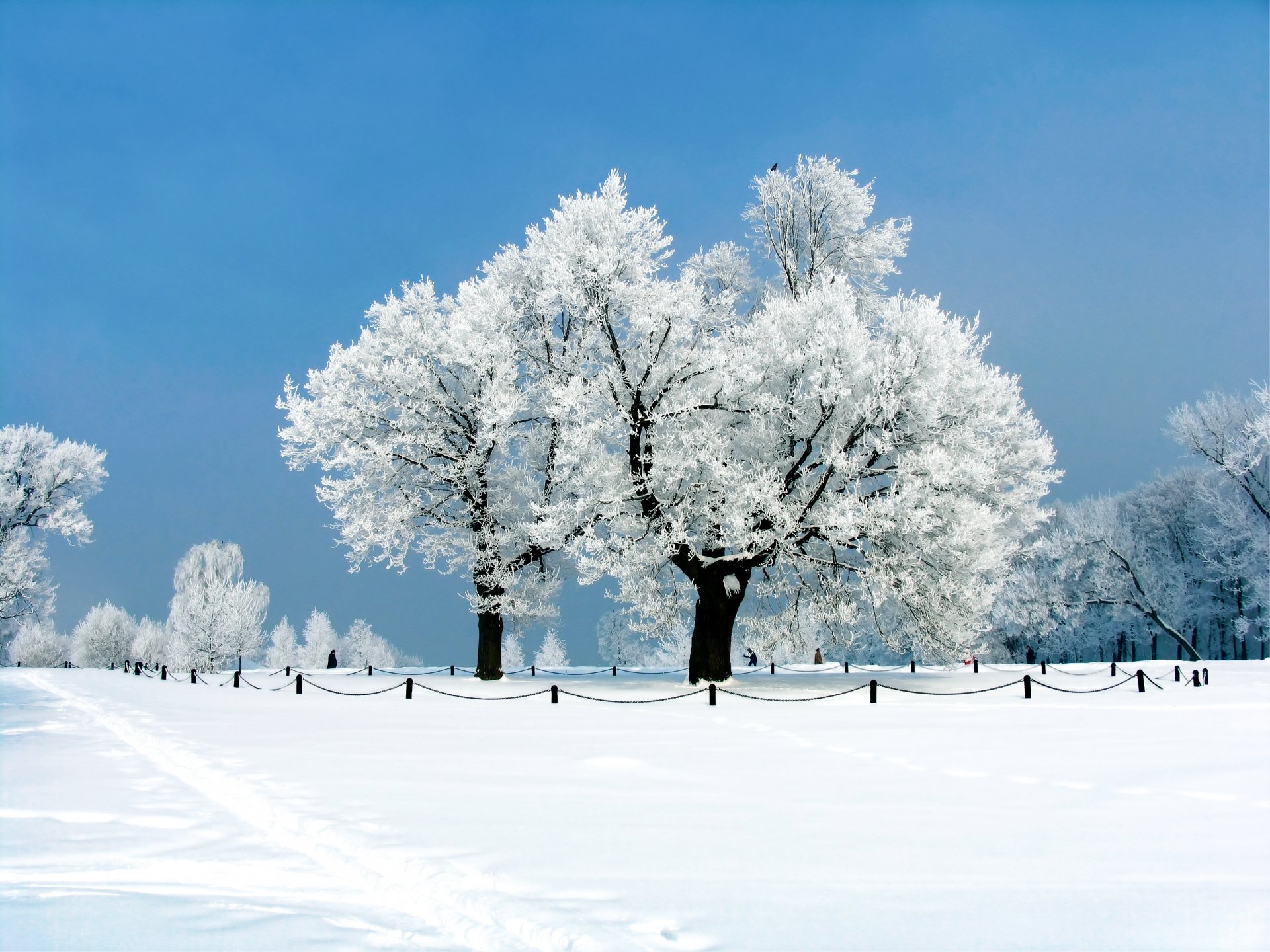 hiver neige parc allée passerelle arbres givre clôture ciel