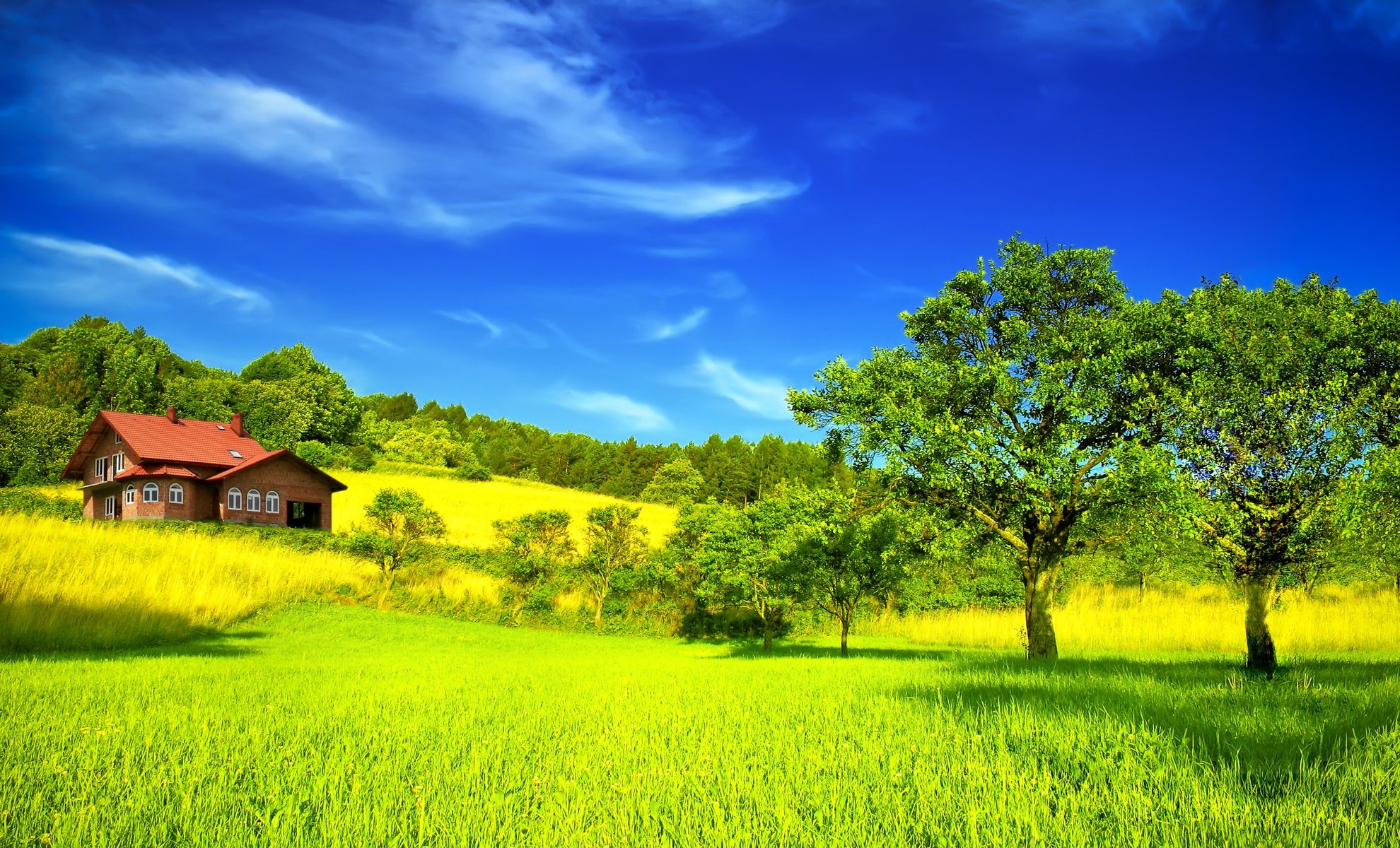 in summer house field trees sky clouds summer bushe