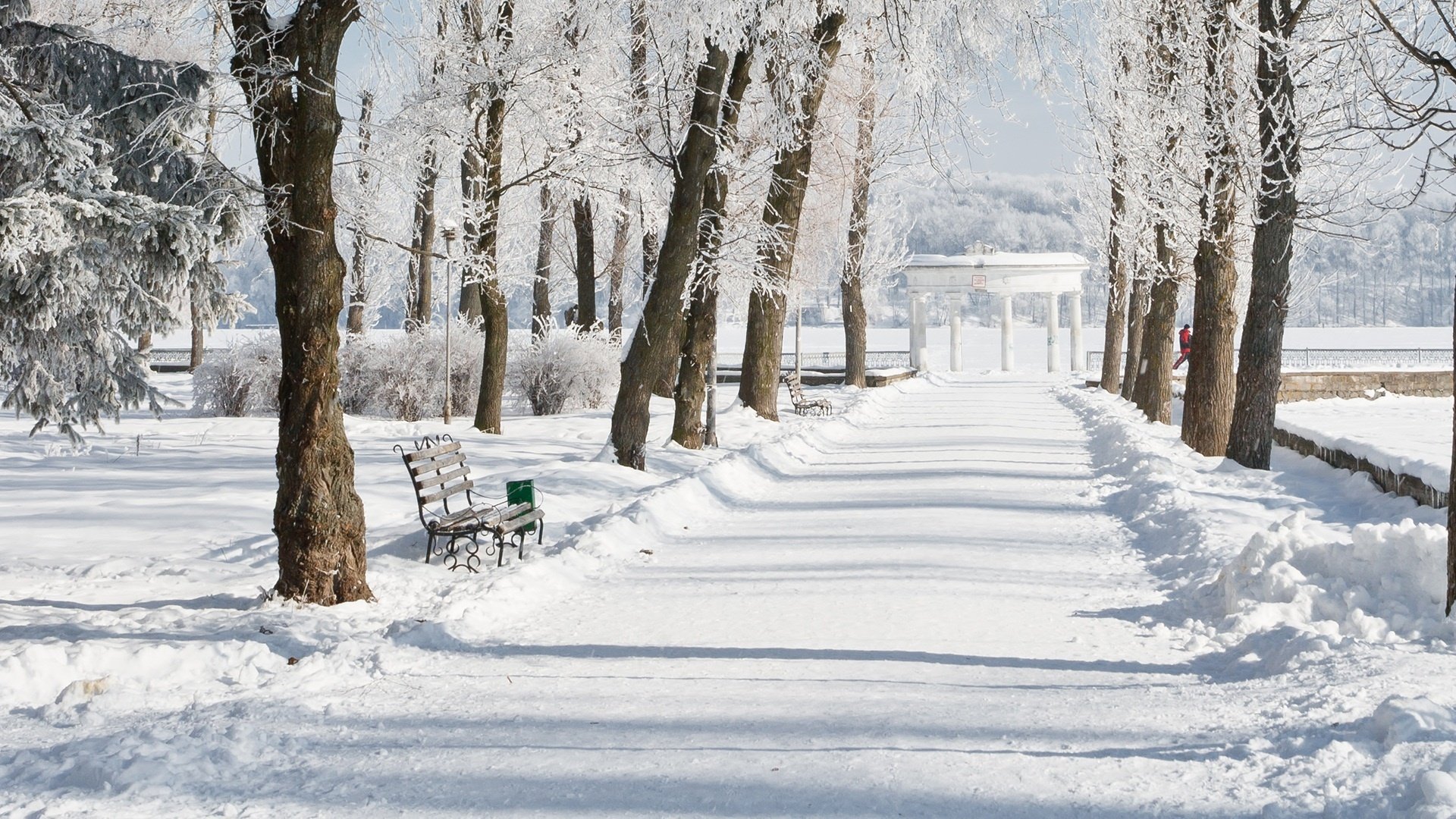 hiver neige parc