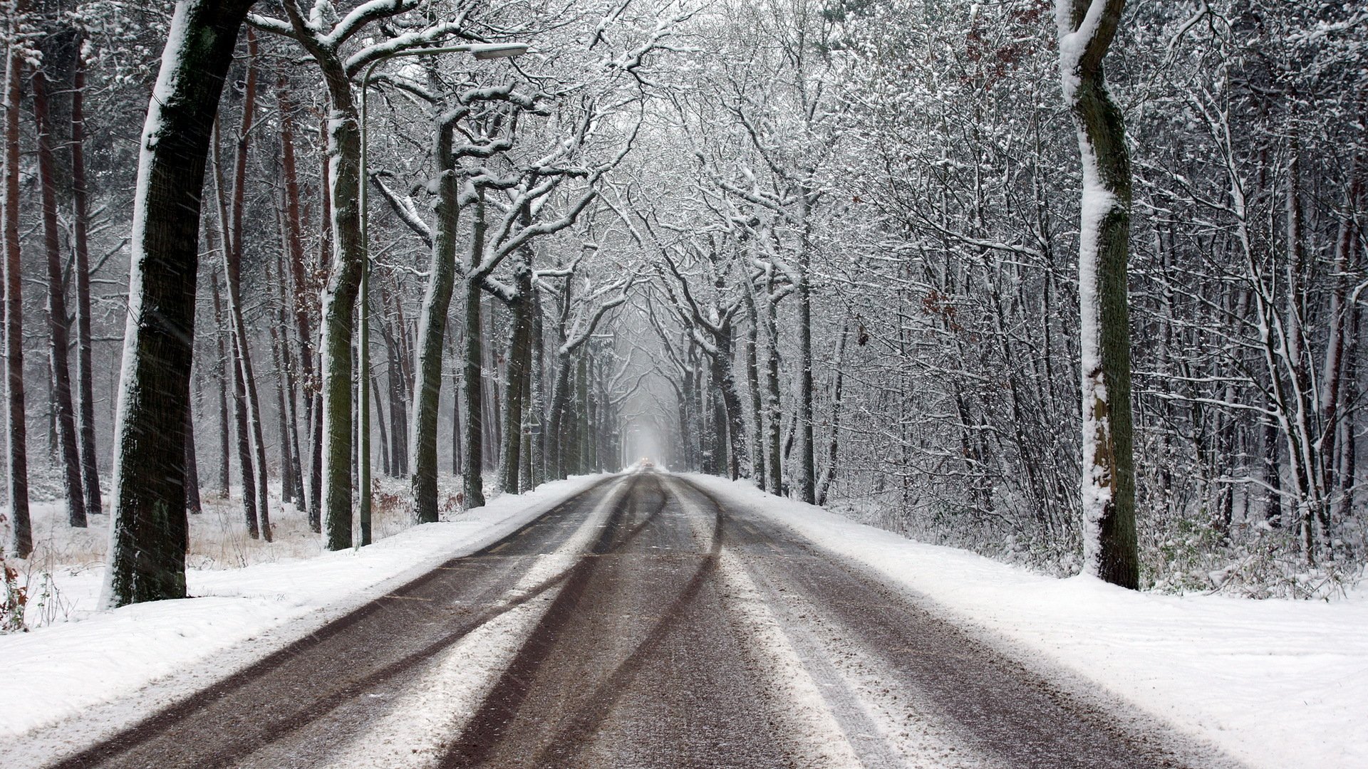 winter wald straße