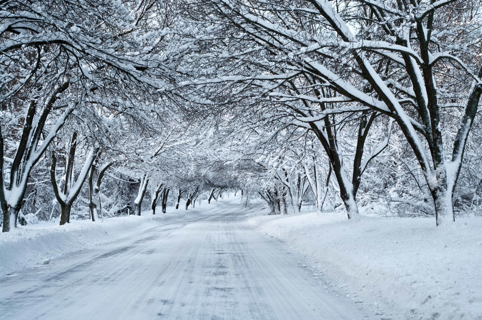 carretera nieve bosque invierno