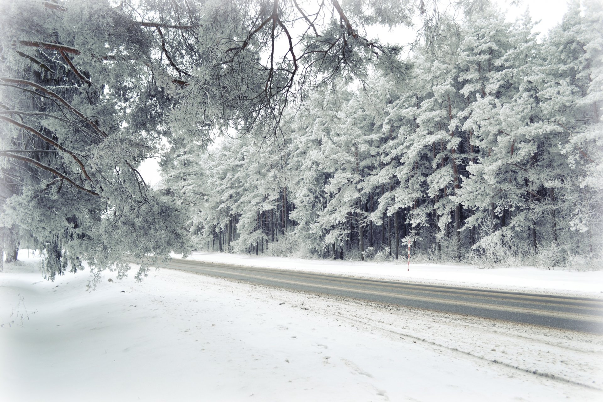 route hiver forêt nature paysages givre