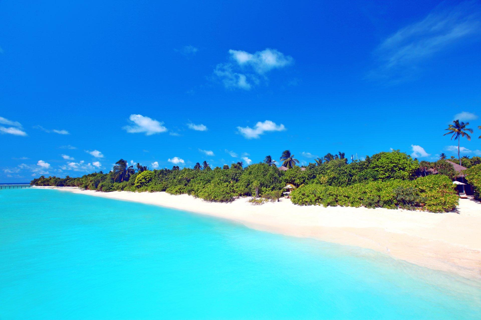 cielo mare sabbia spiaggia palma bungalow maldive