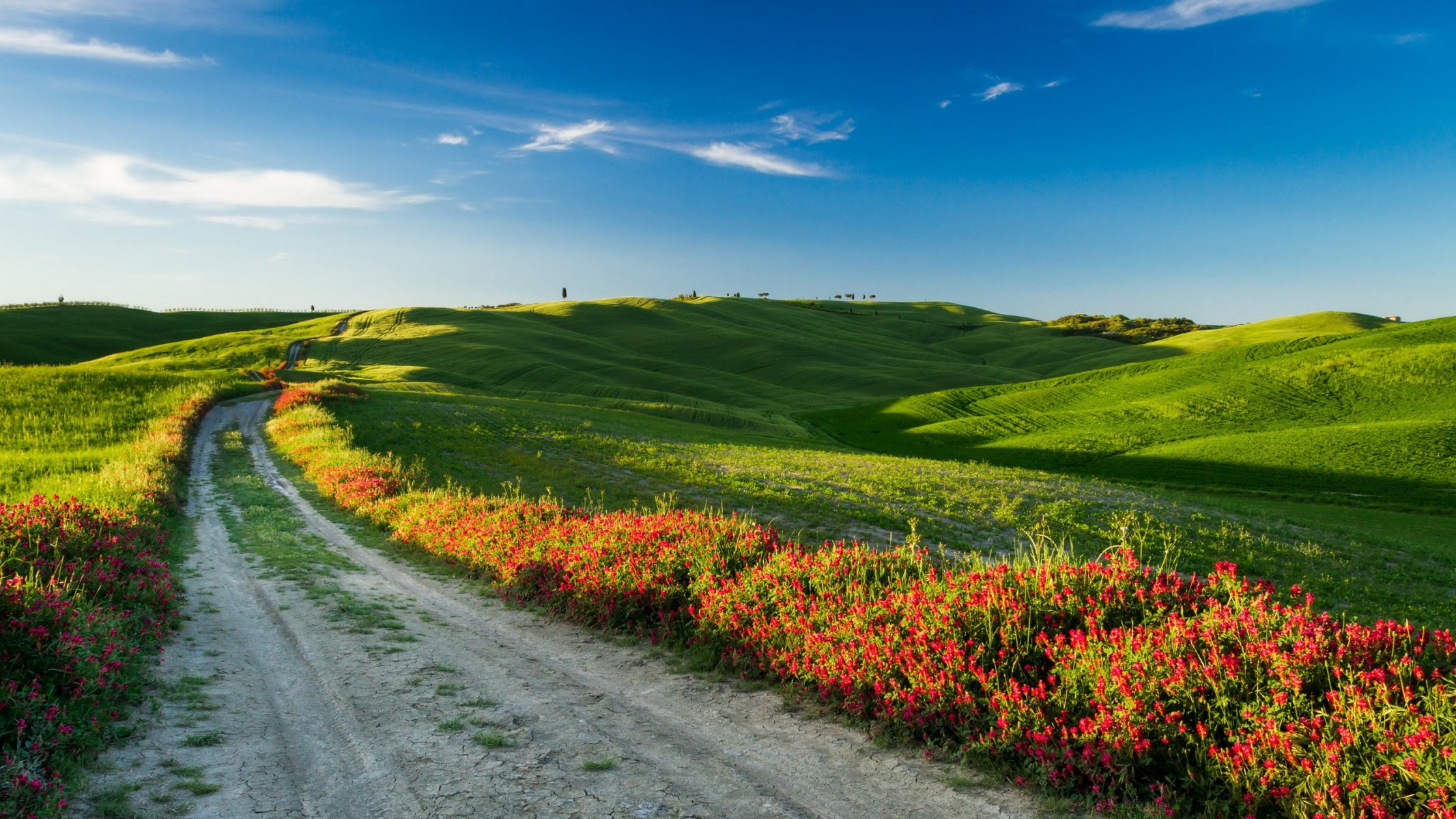 tuscany italy the field landscape road