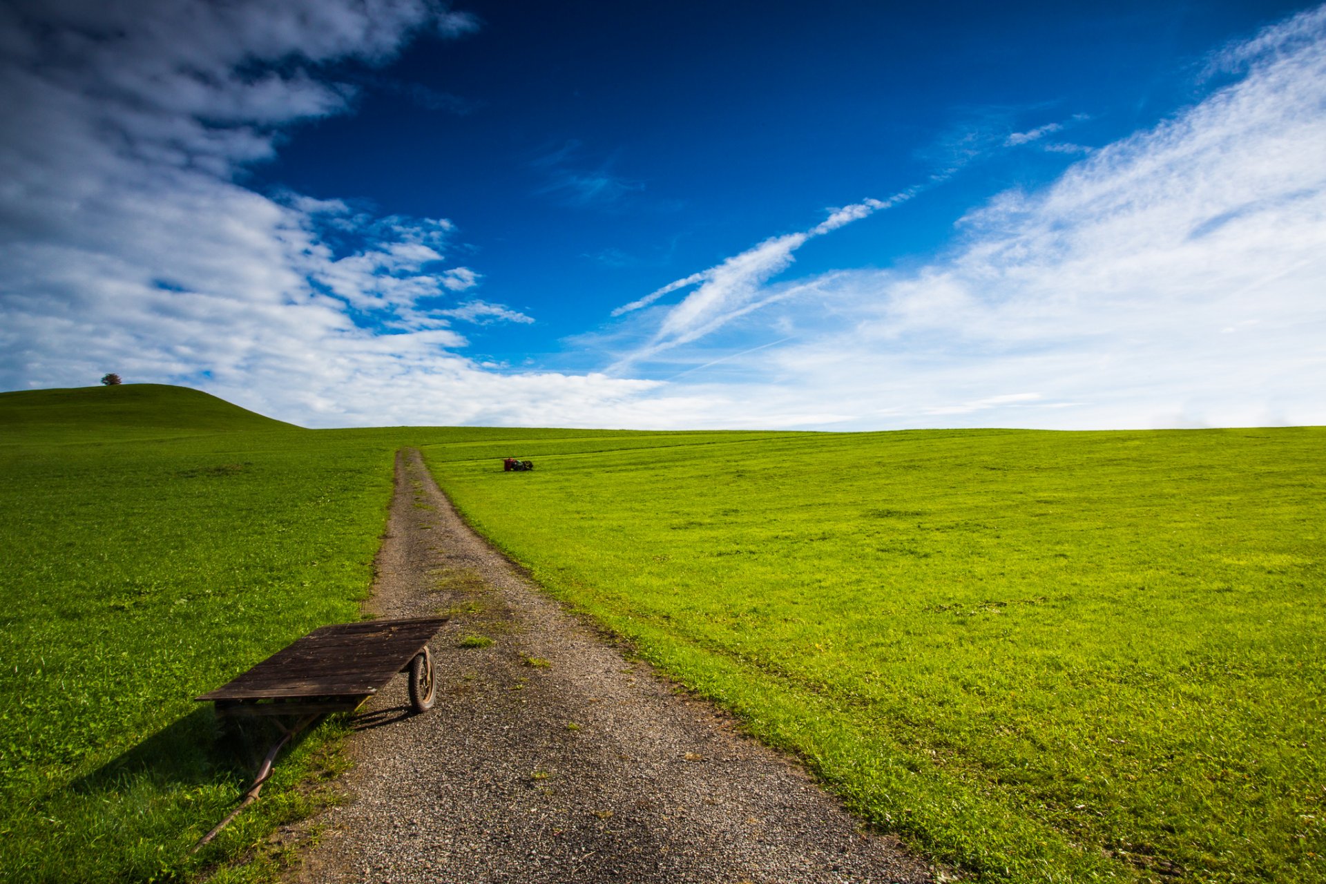 strada campo carriola cielo verde