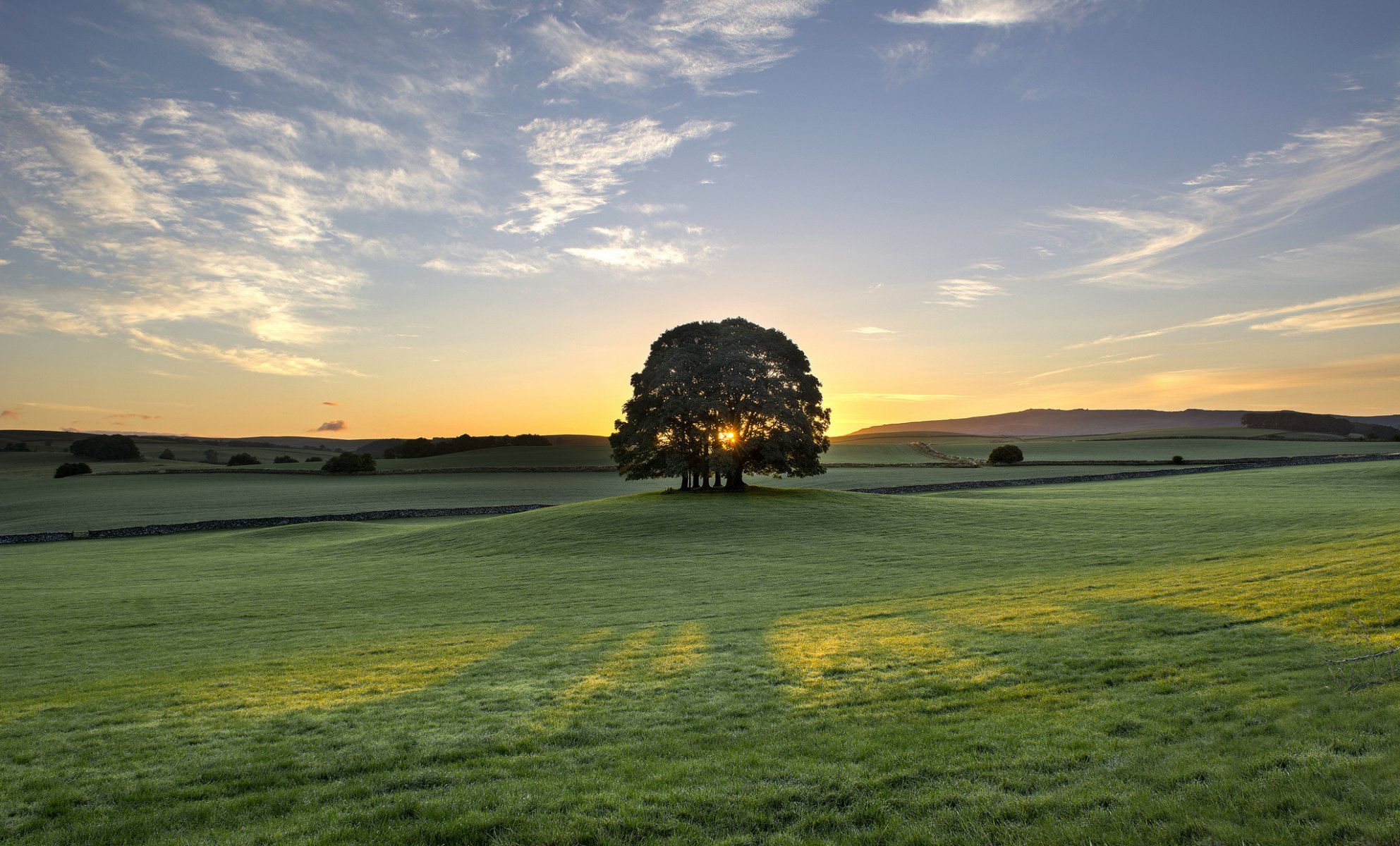 campana solco inghilterra albero alba alba mattina prato