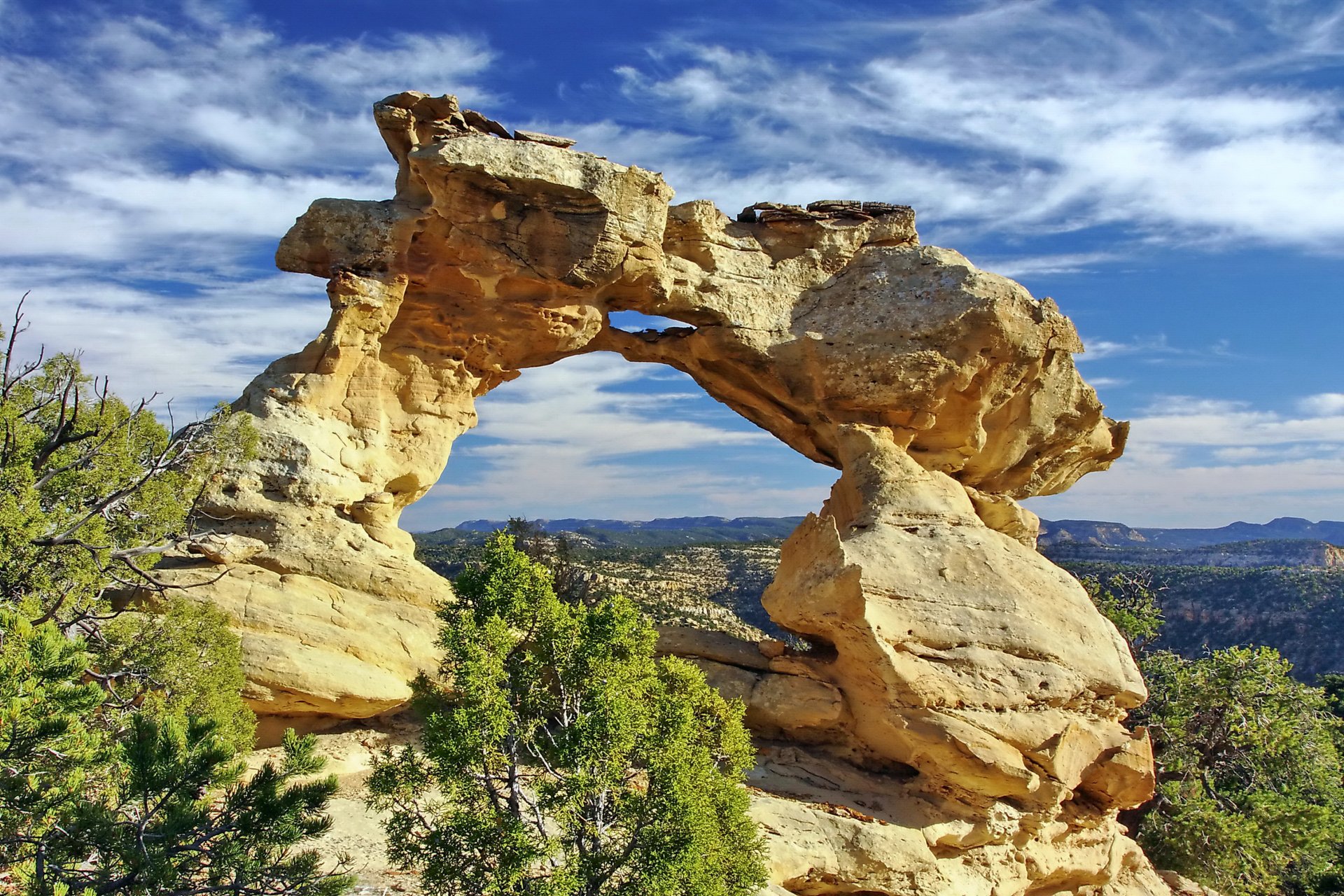 grande scalinata-escalante utah usa rocce arco baciare draghi bacio drago arenaria alberi cielo nuvole