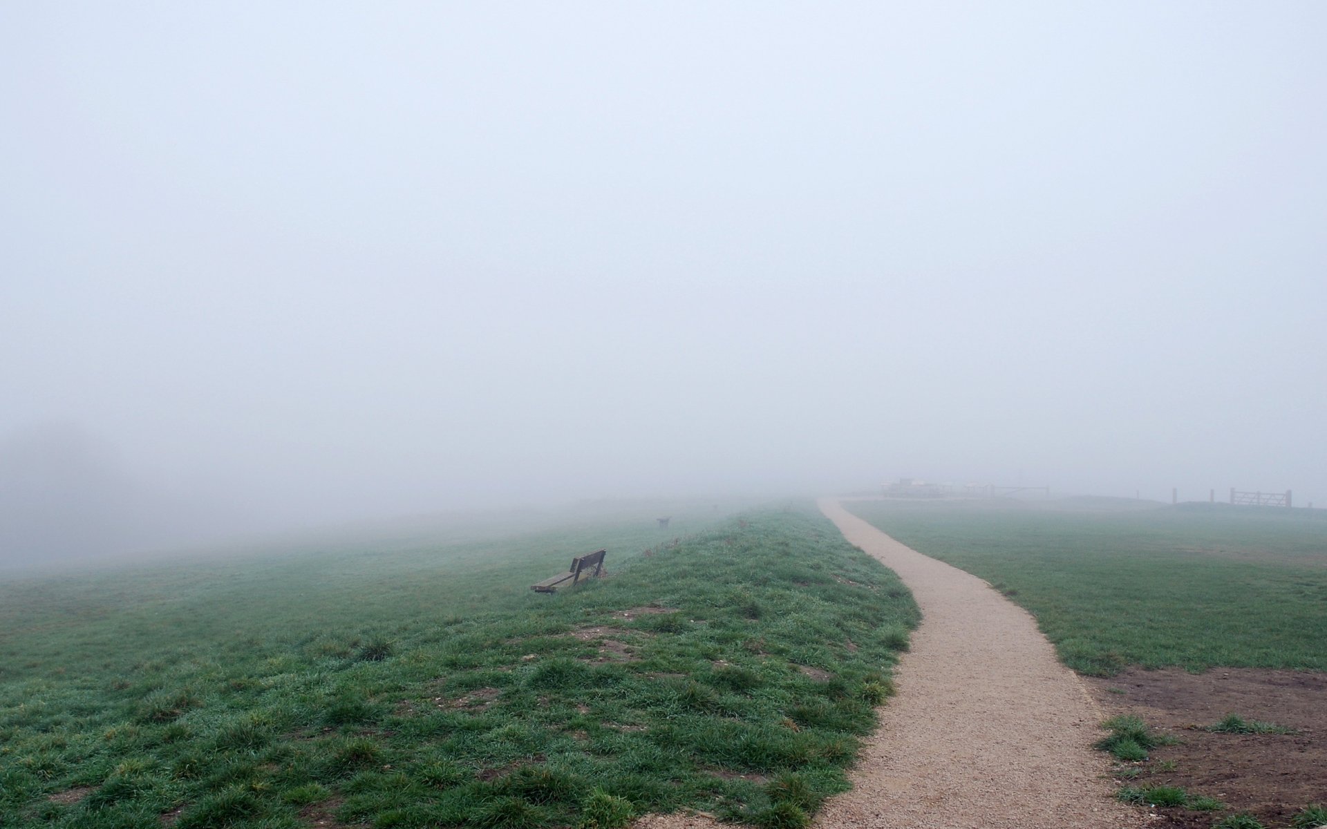 campo camino banco niebla naturaleza