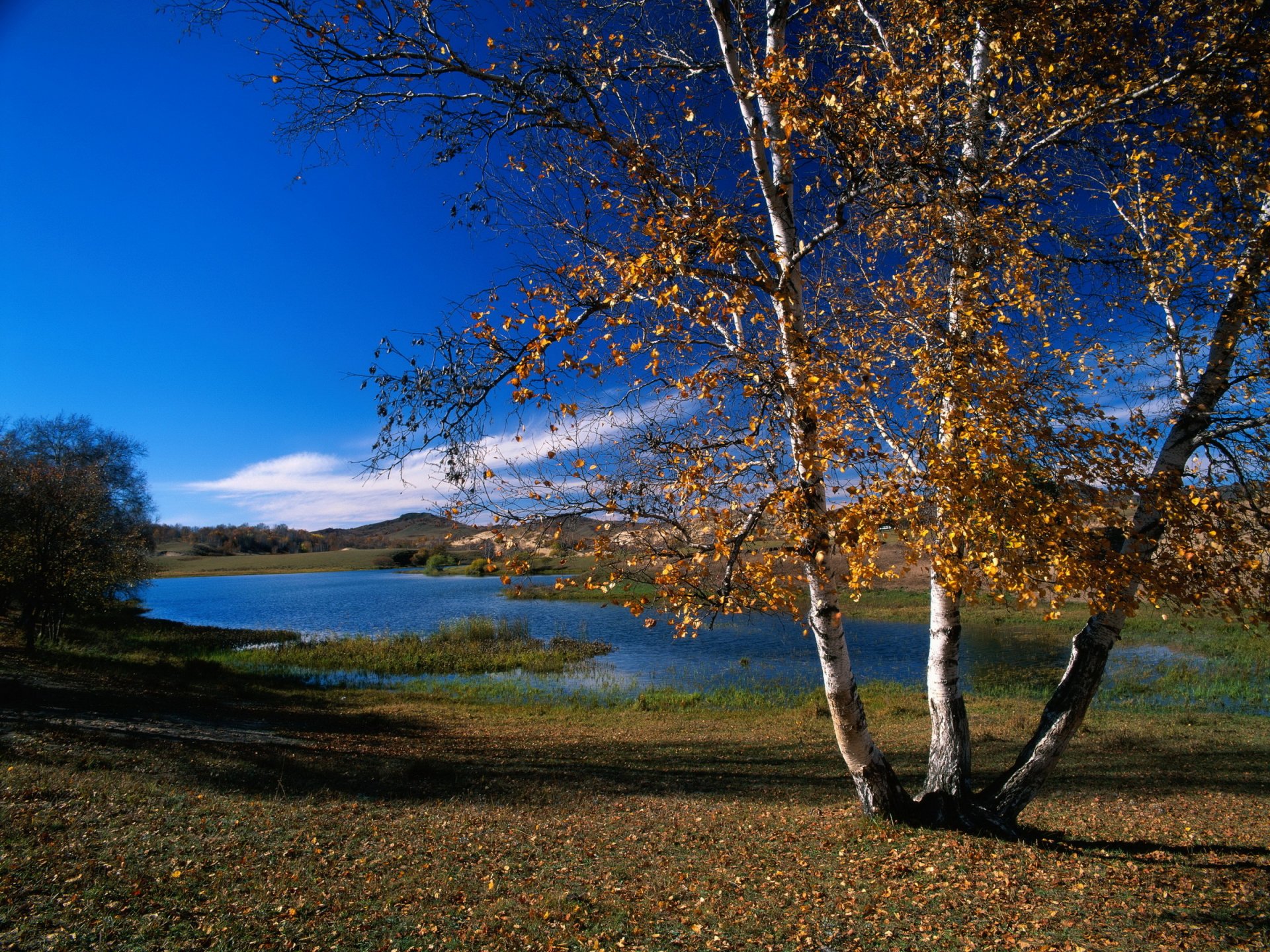 automne rivière forêt bouleau horizon montagne ciel nuages