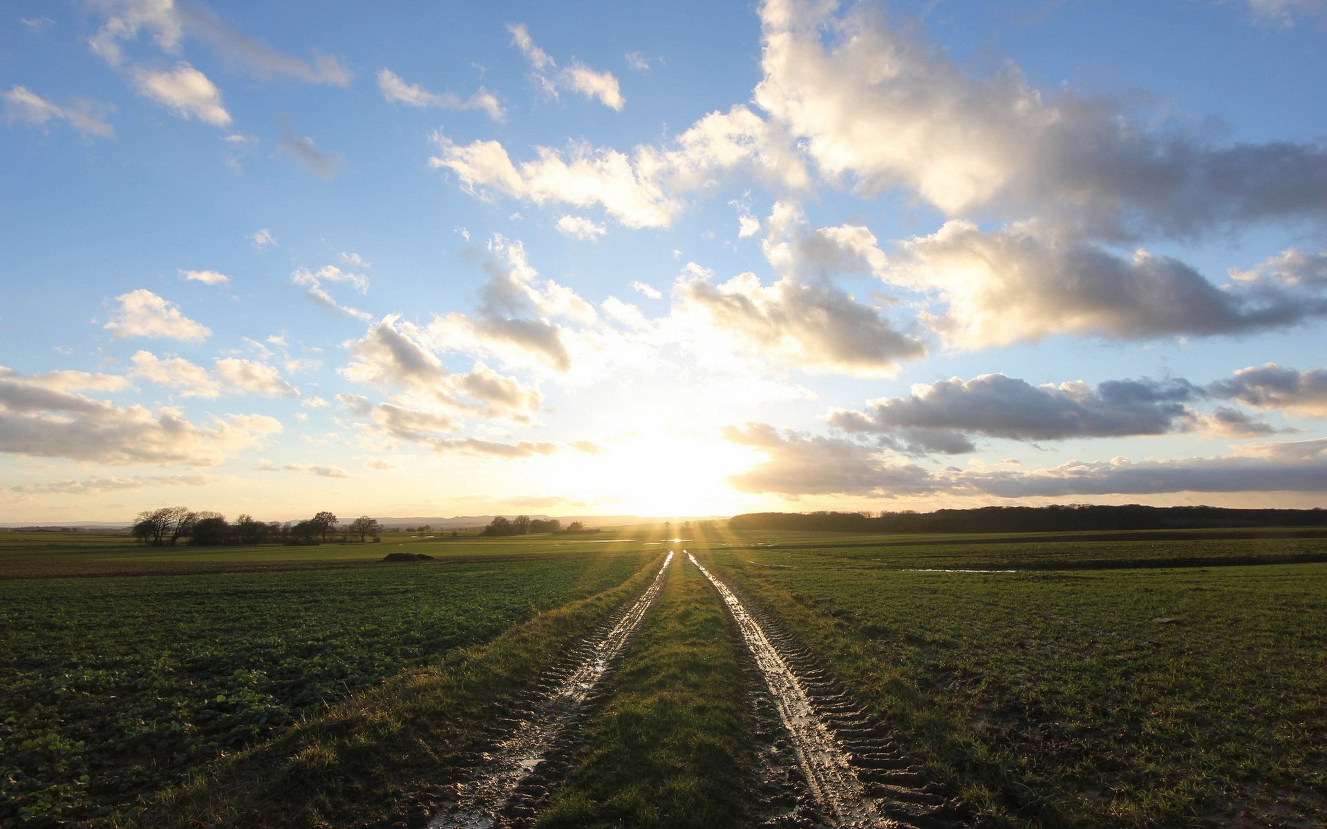 matin champ paysage