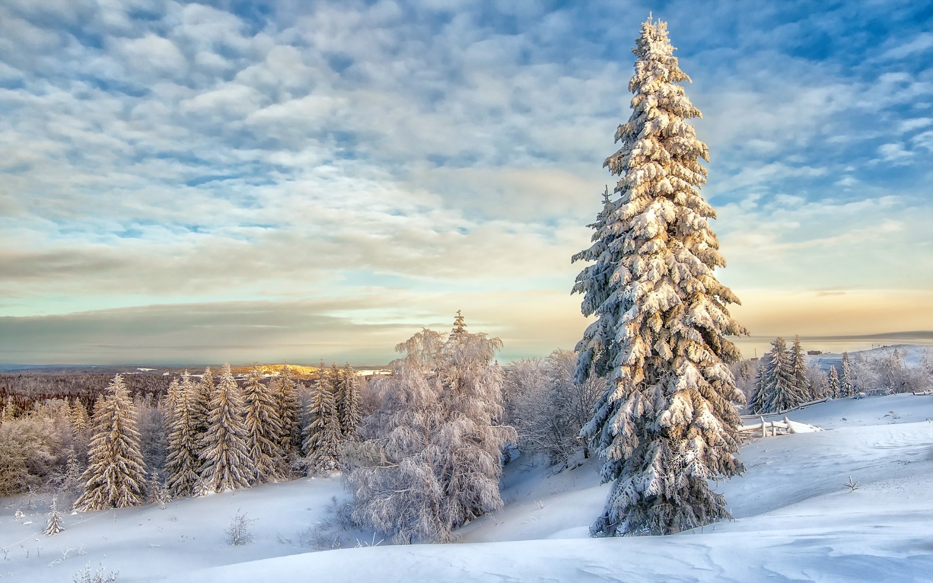 invierno nieve paisaje