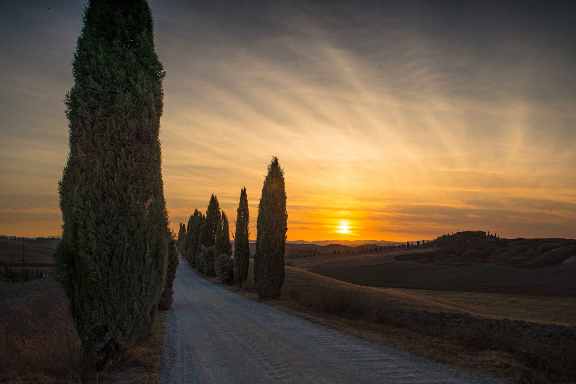 italia toscana carretera cipreses tarde puesta de sol