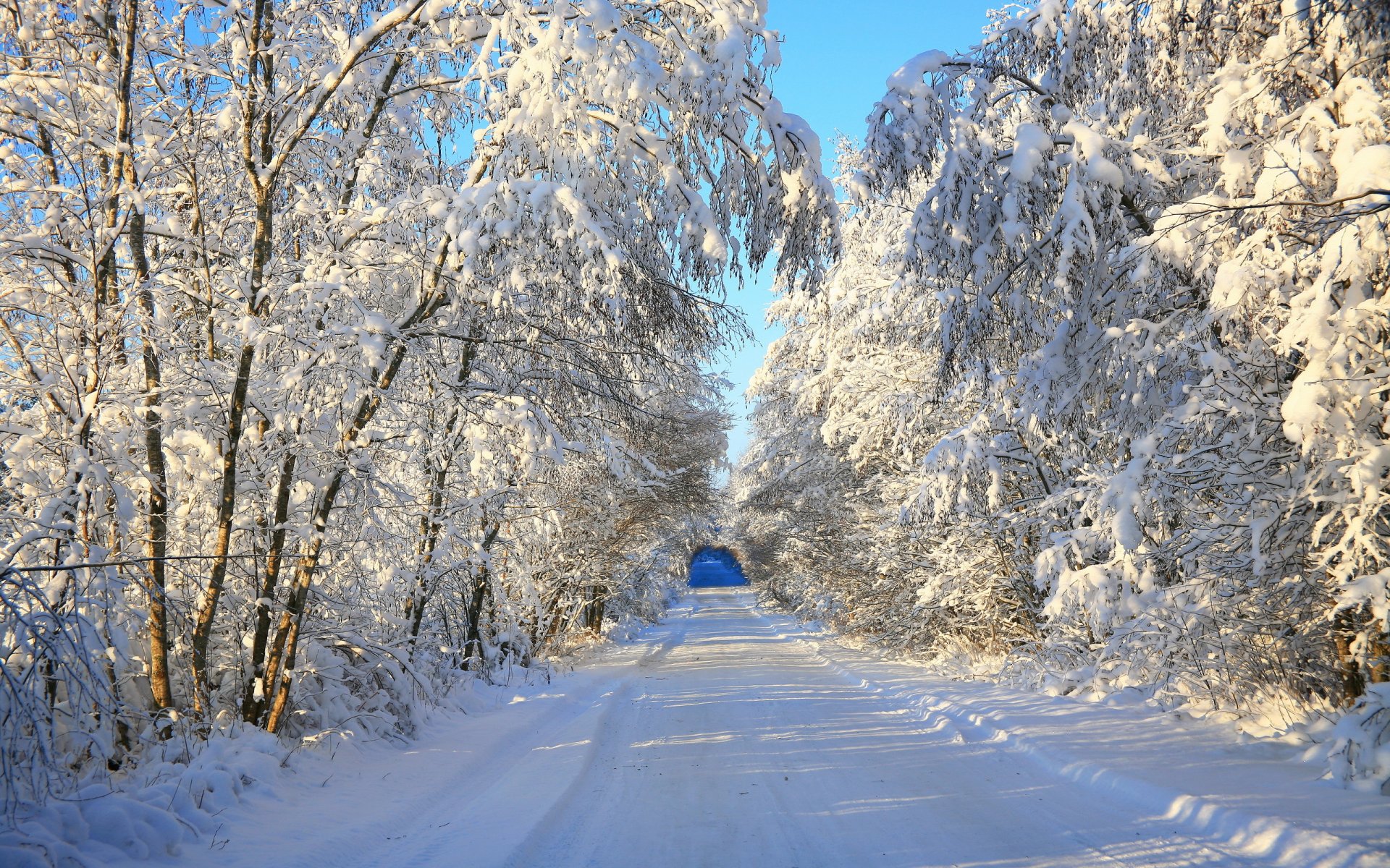 zima śnieg krajobraz