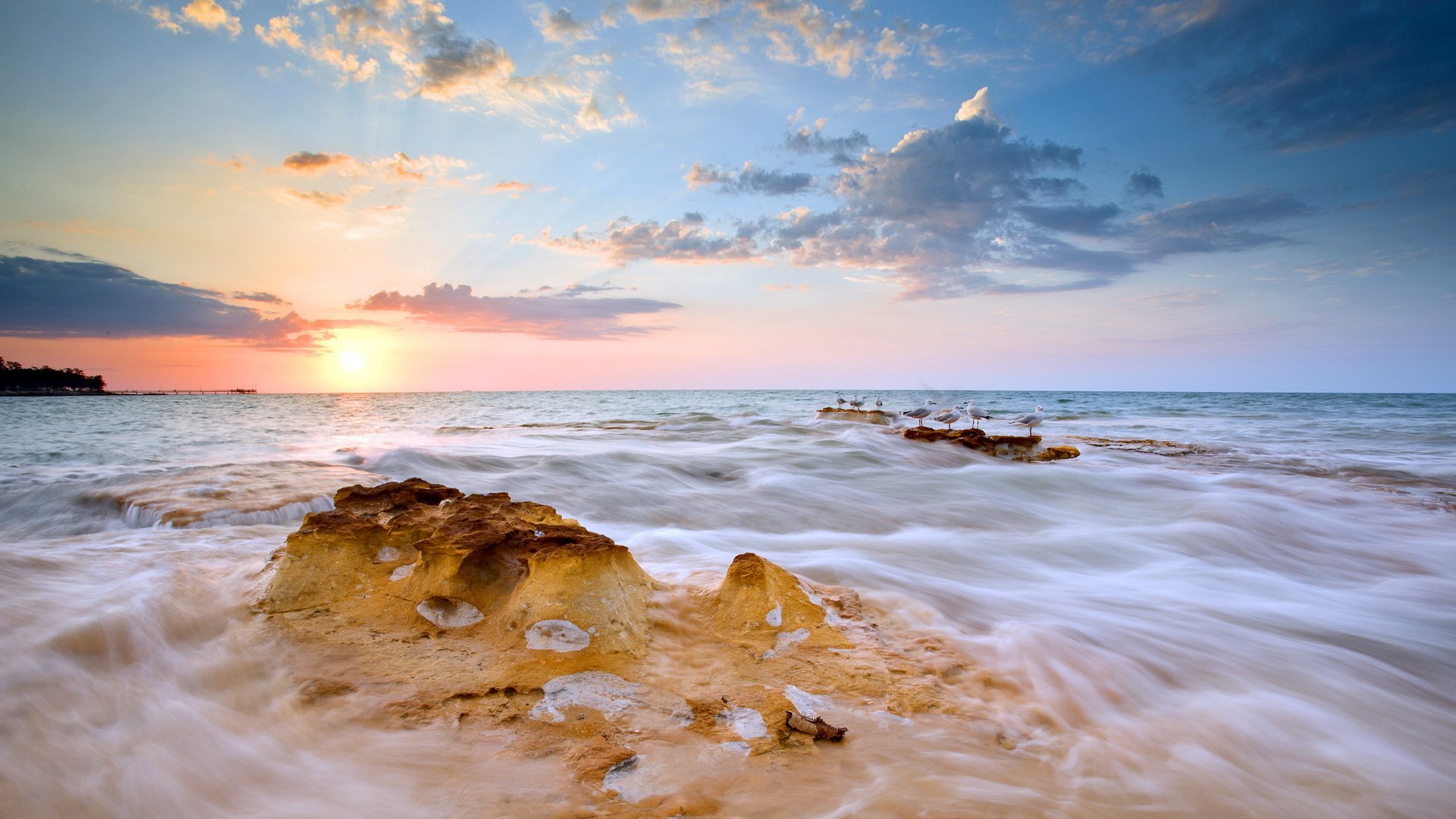 coucher de soleil mer oiseaux paysage