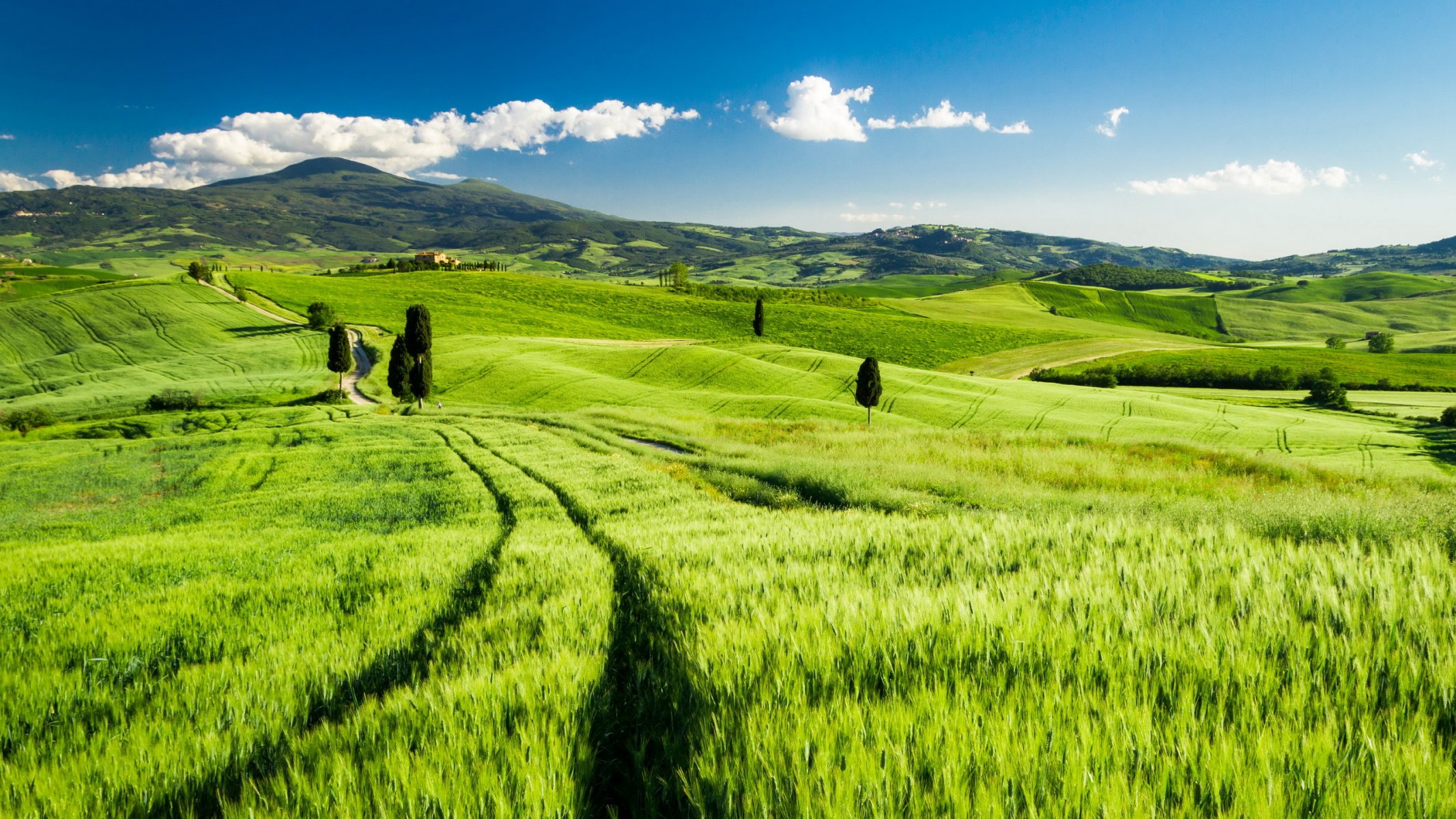 toskana italien feld landschaft