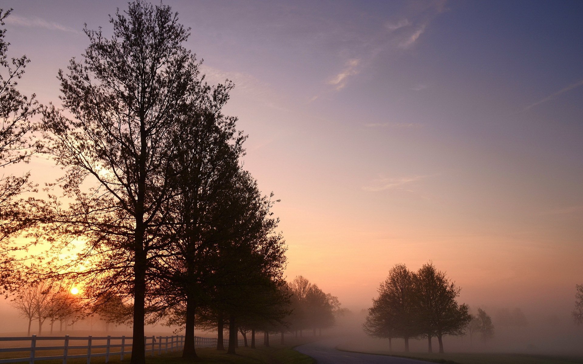 morning road fog landscape