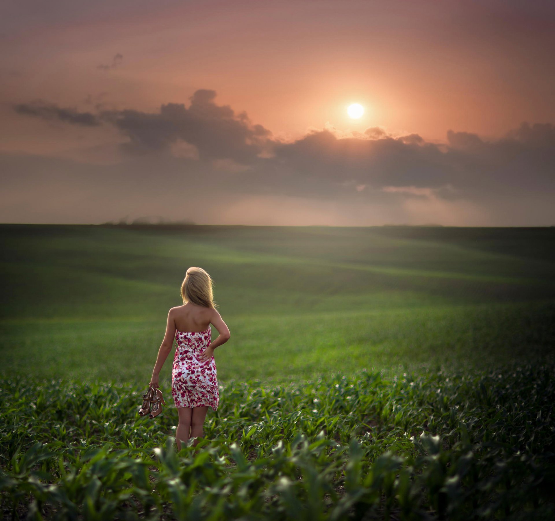 the field space sun girl