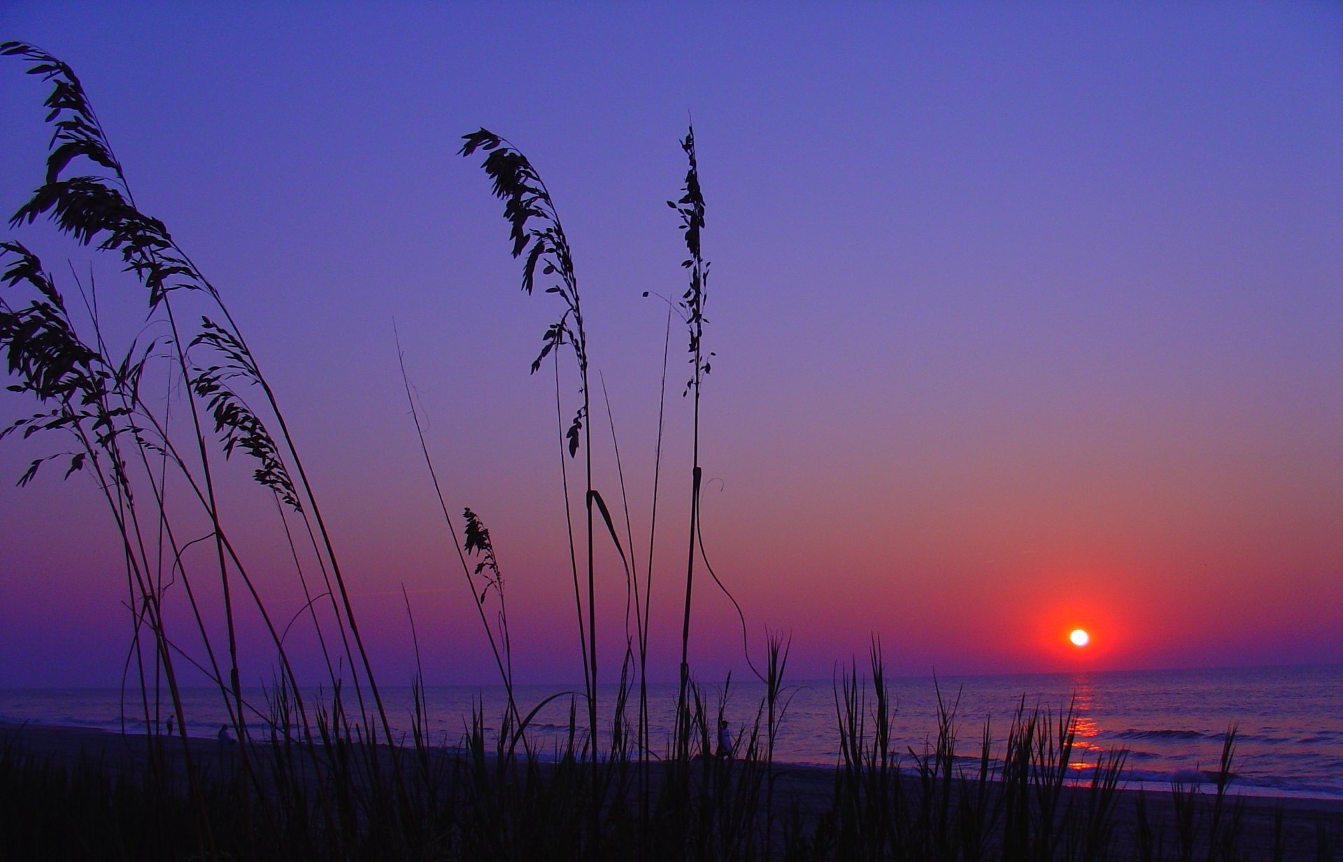 spiaggia mare tramonto natura paesaggio