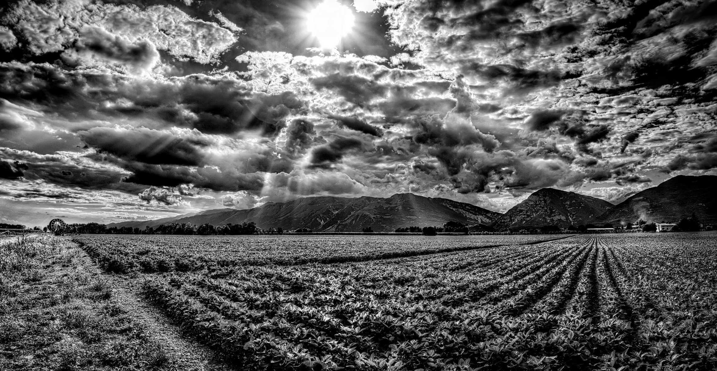 montagnes ciel soleil rayons champ bw nuages ☁