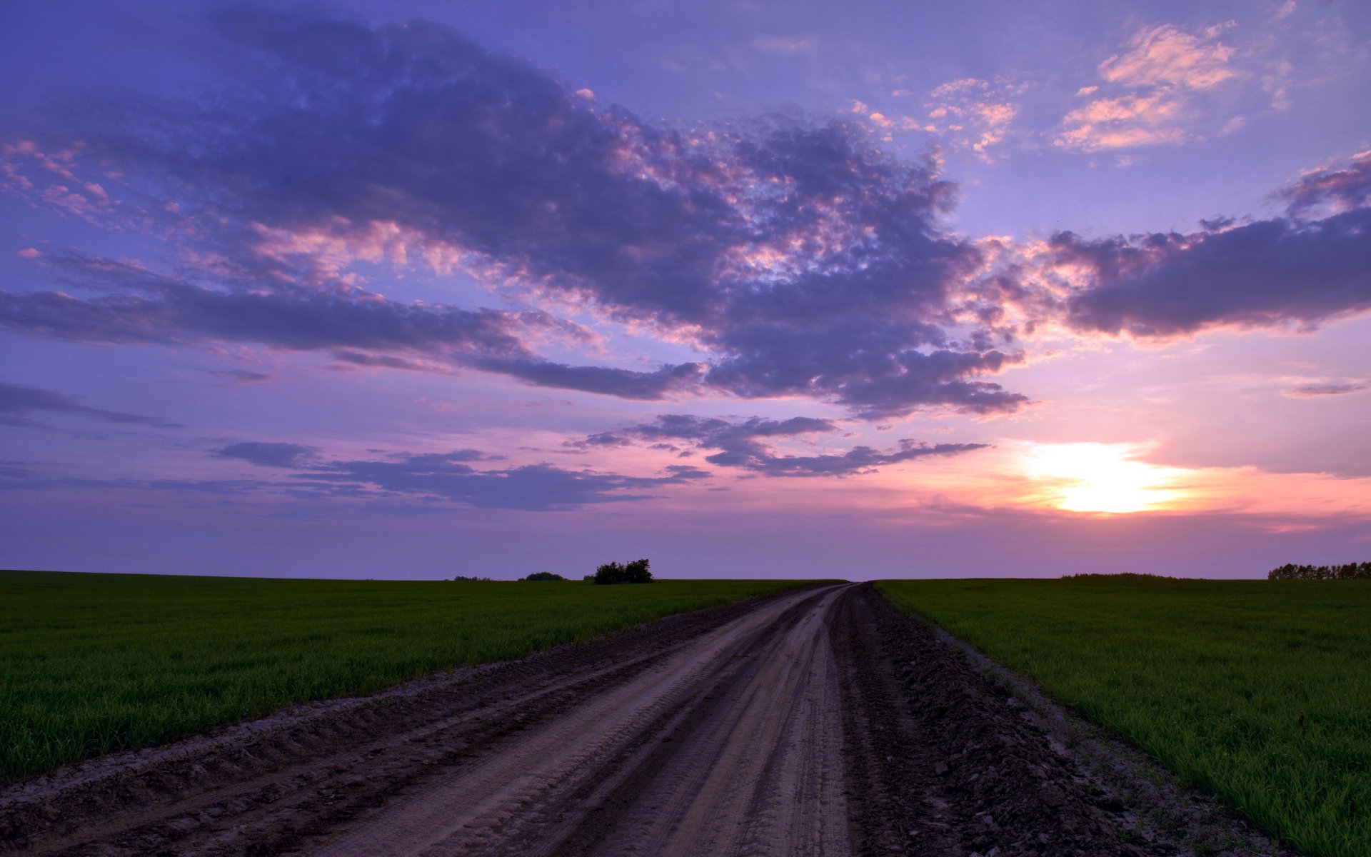 champ route nature paysage