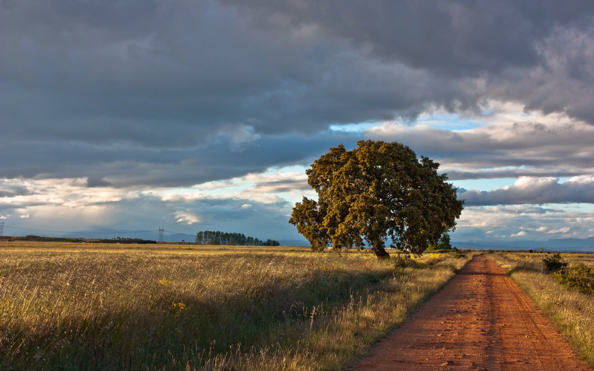 straße baum landschaft