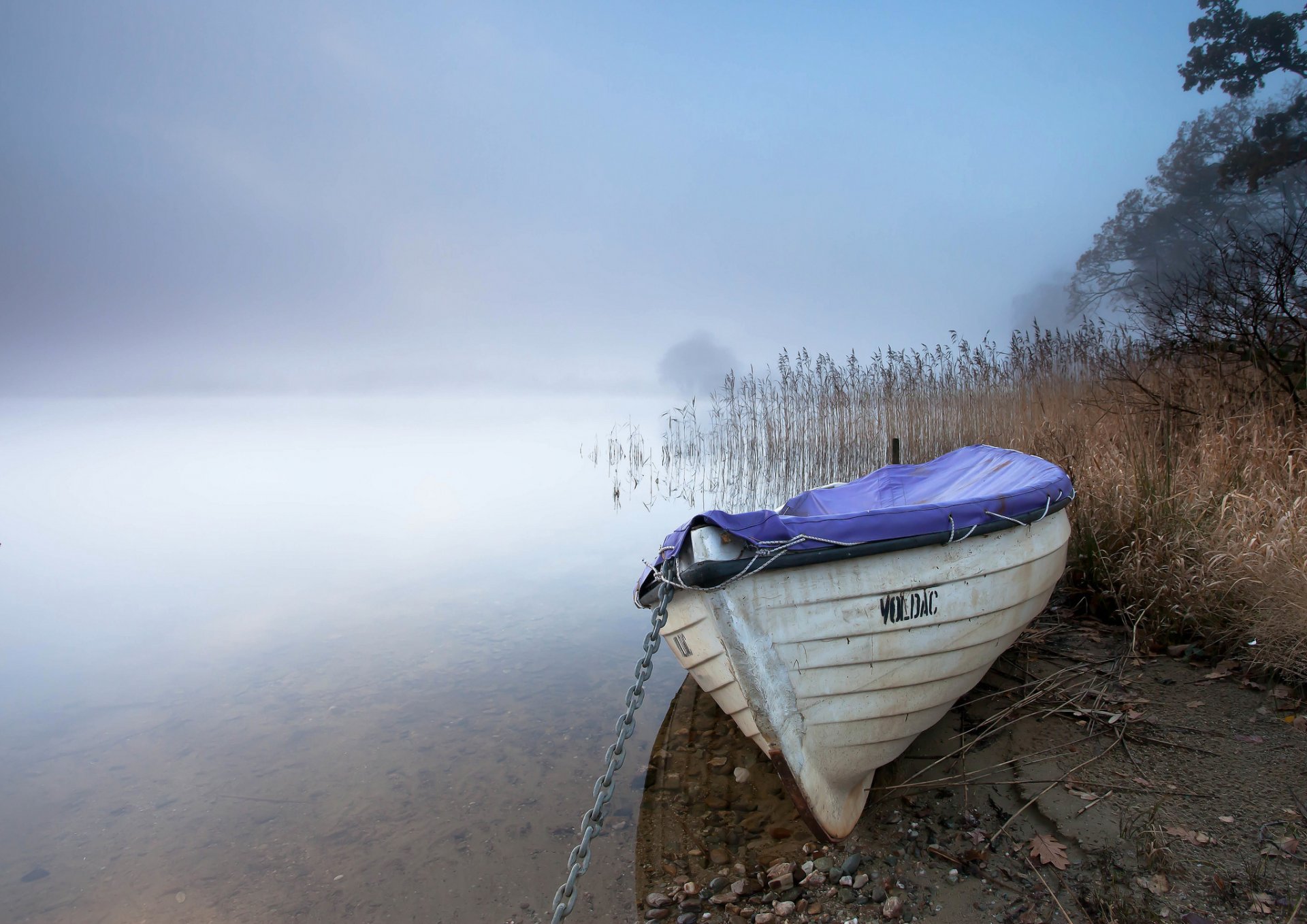 lac roseau bateau brouillard