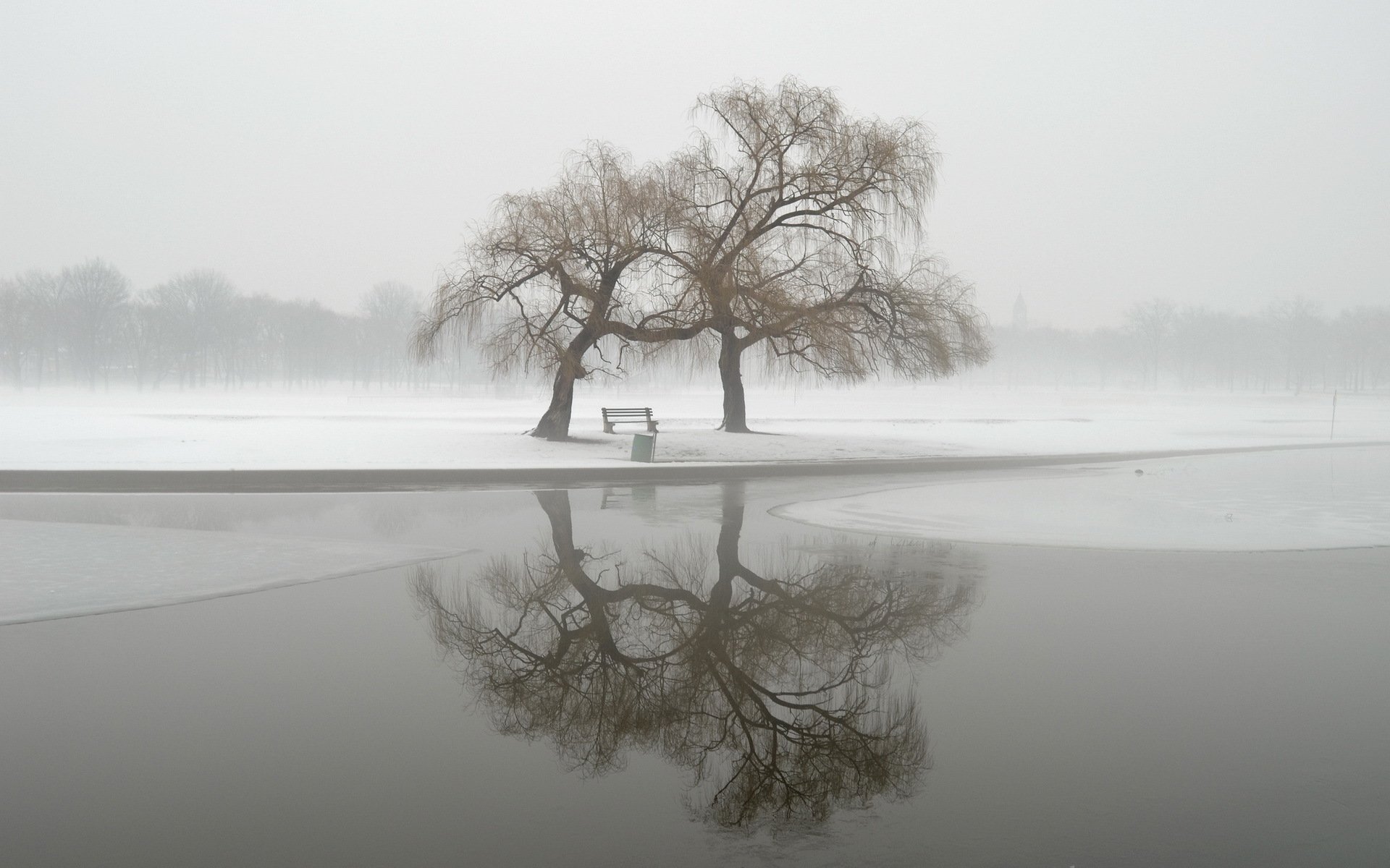 invierno parque niebla paisaje