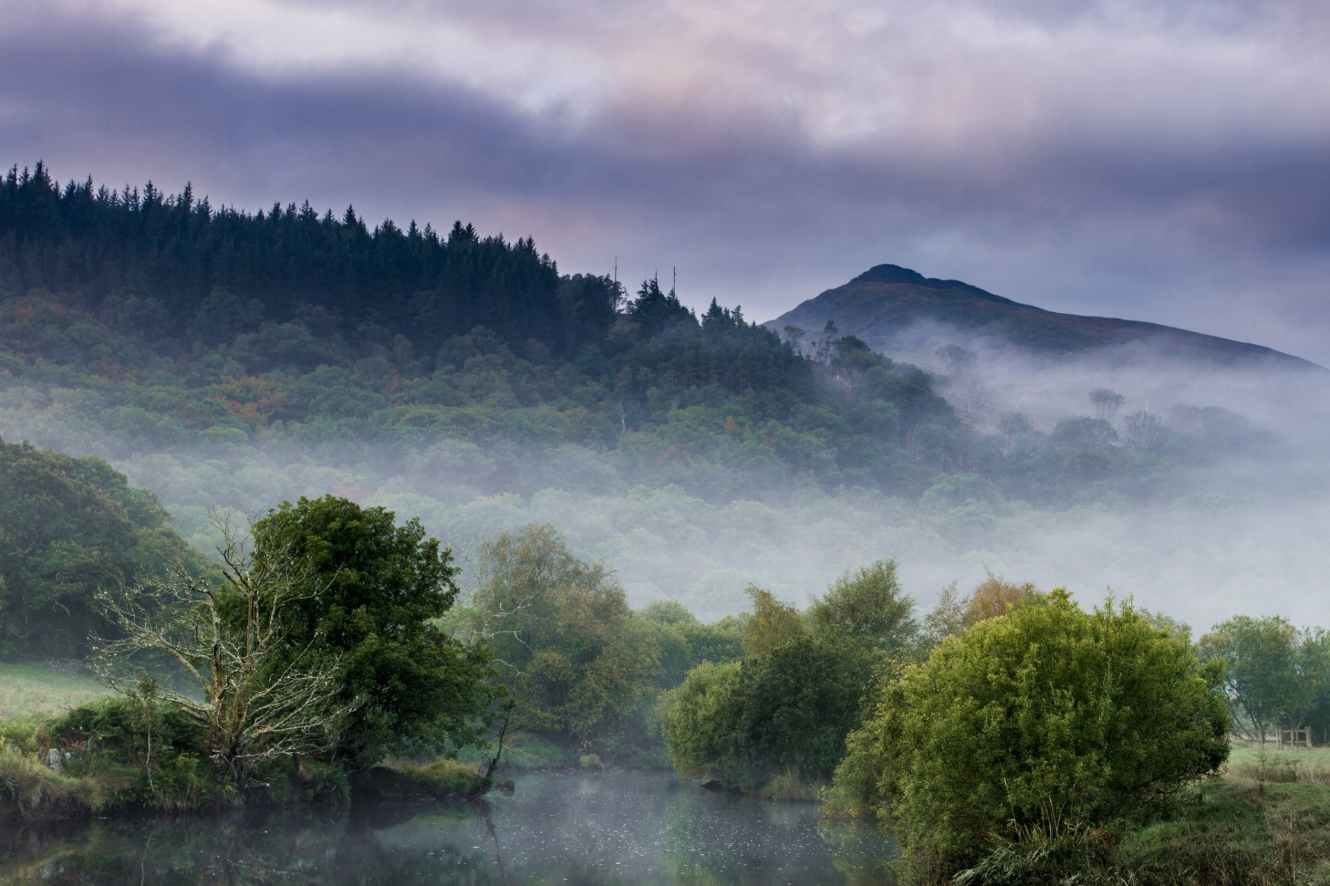 bosque montañas lago mañana niebla neblina