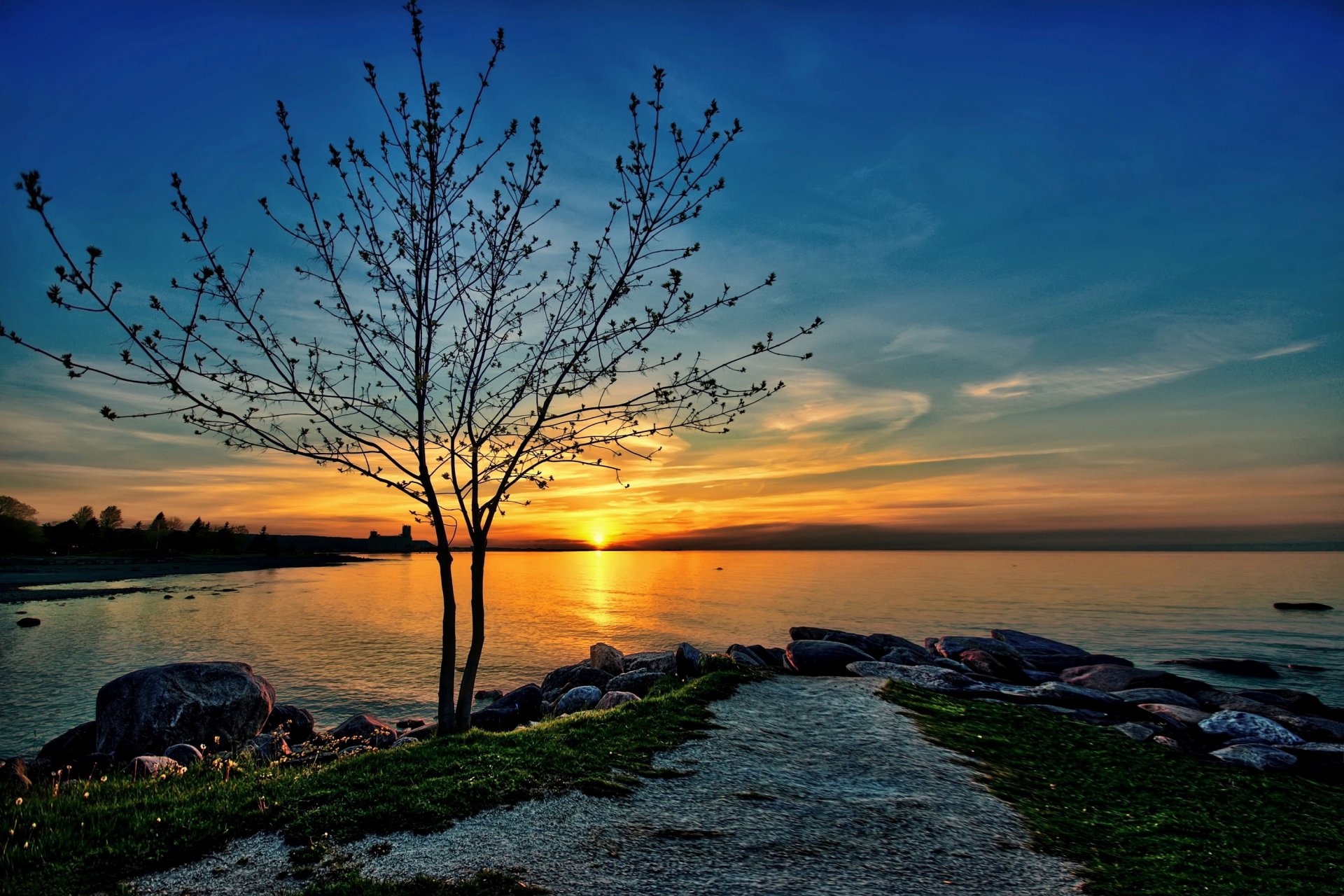 lago spiaggia rocce albero sole tramonto