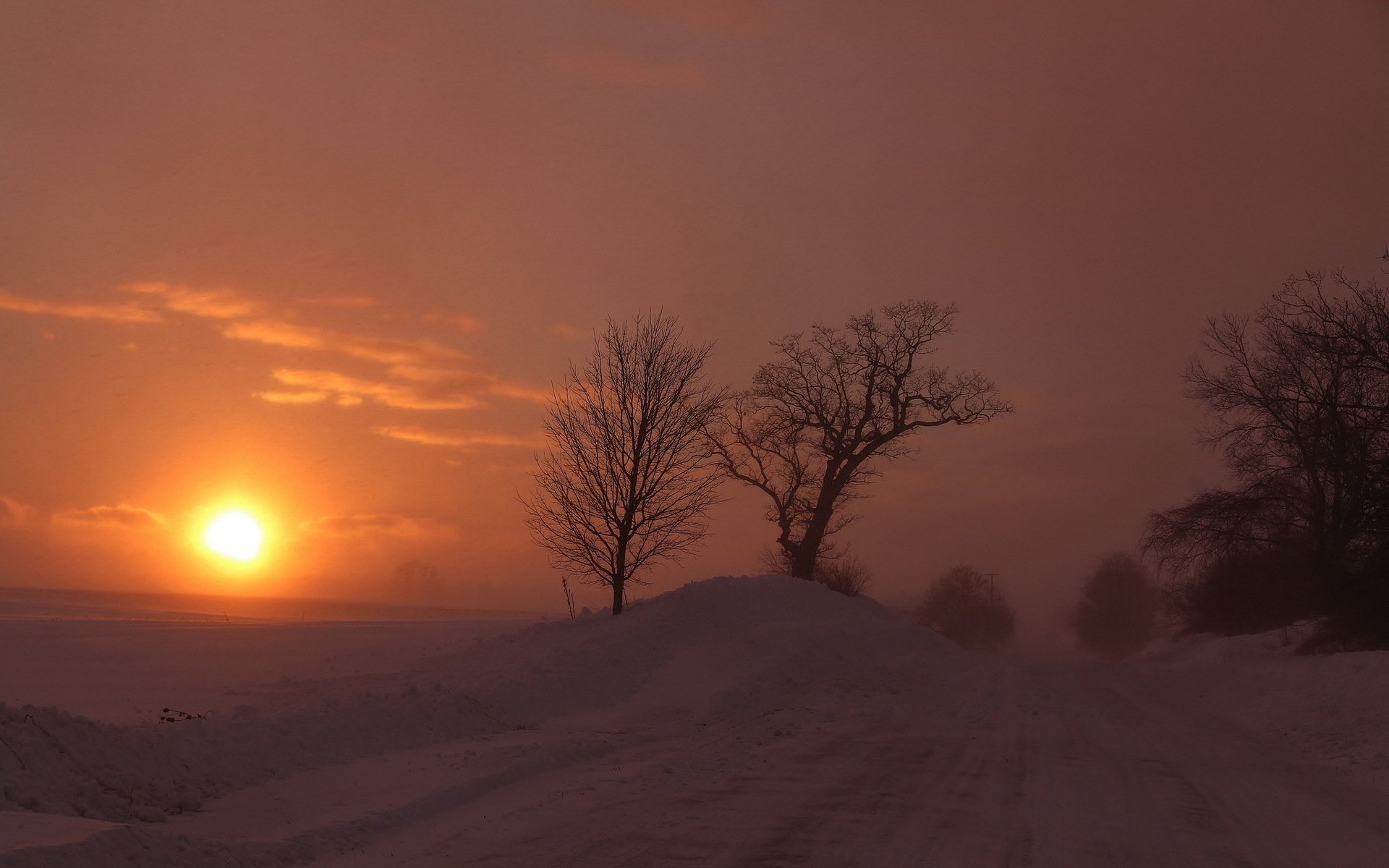 invierno nieve carretera árboles sol