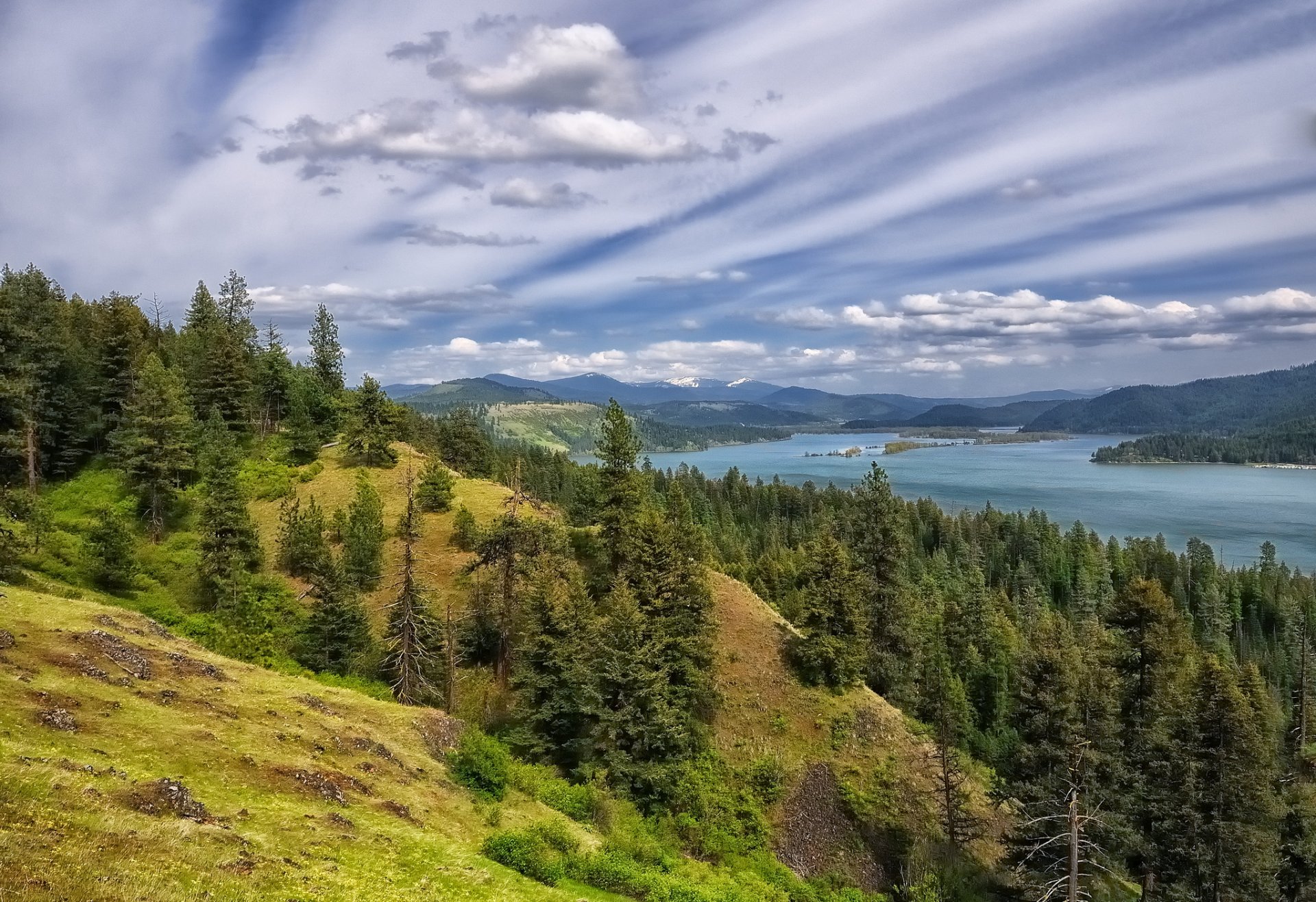 lago coeur d alene lago coeur d alene bosque árboles montañas