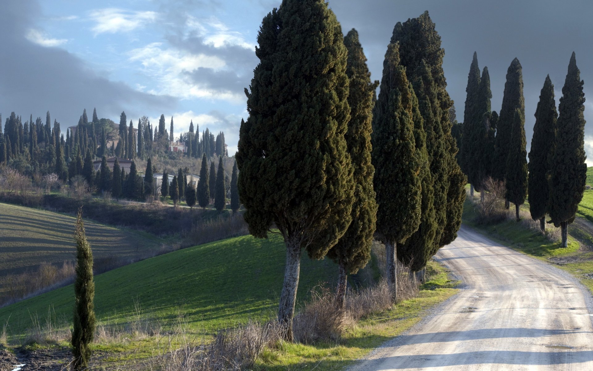 ruhige wächter toskana italien landschaft