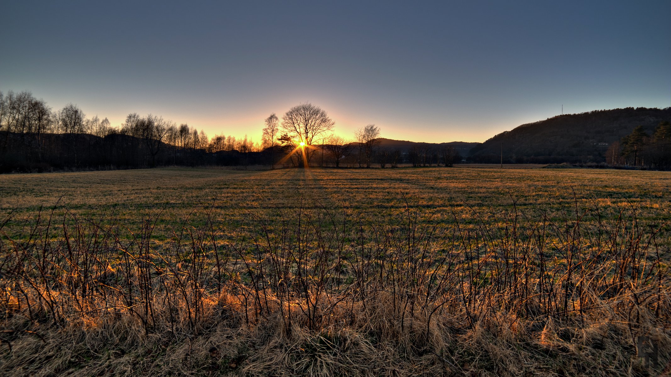 autunno erba secco albero rami sole tramonto colline