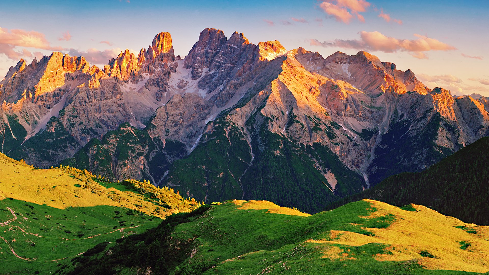 mountain summer slopes forest light