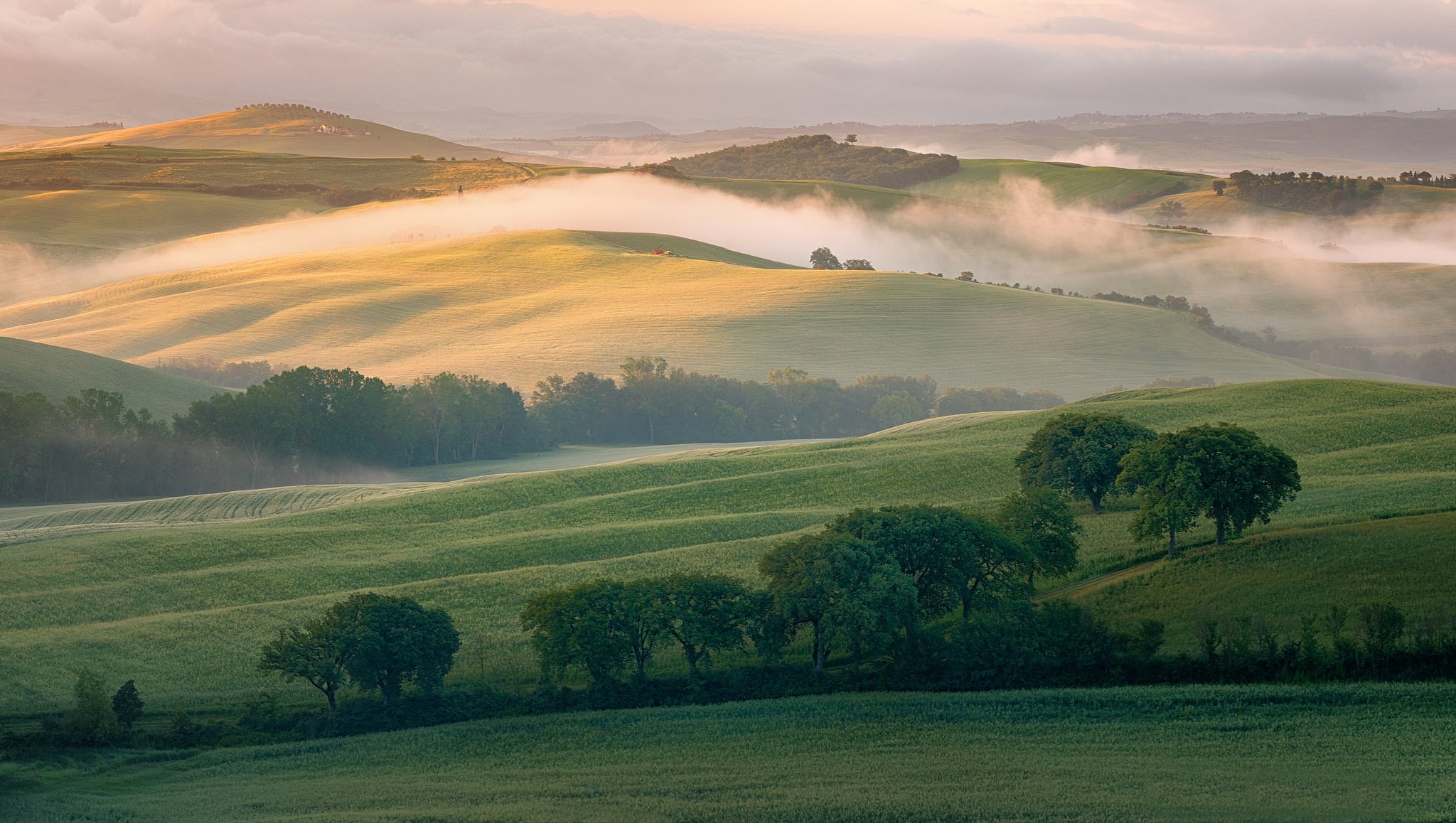 italia toscana colline campi mattina nebbia