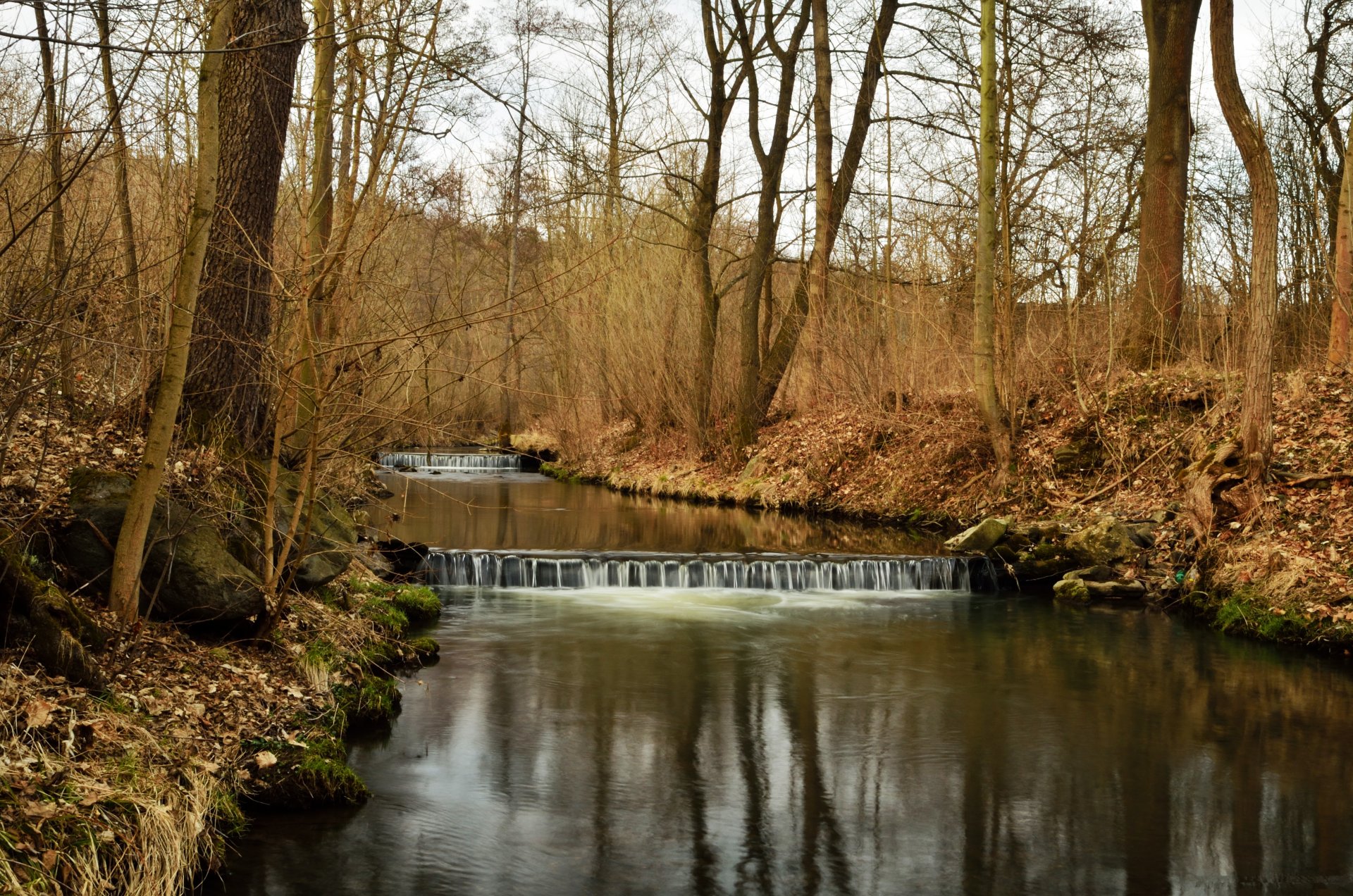 début printemps rivière pentes forêt arbres