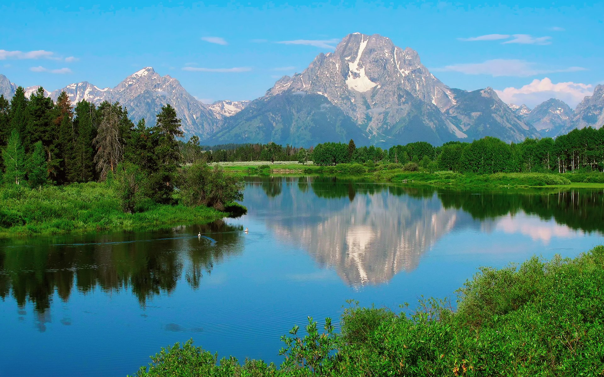 estados unidos wyoming parque nacional grand teton monte moran naturaleza verano-primavera bosque agua patos reflexiones