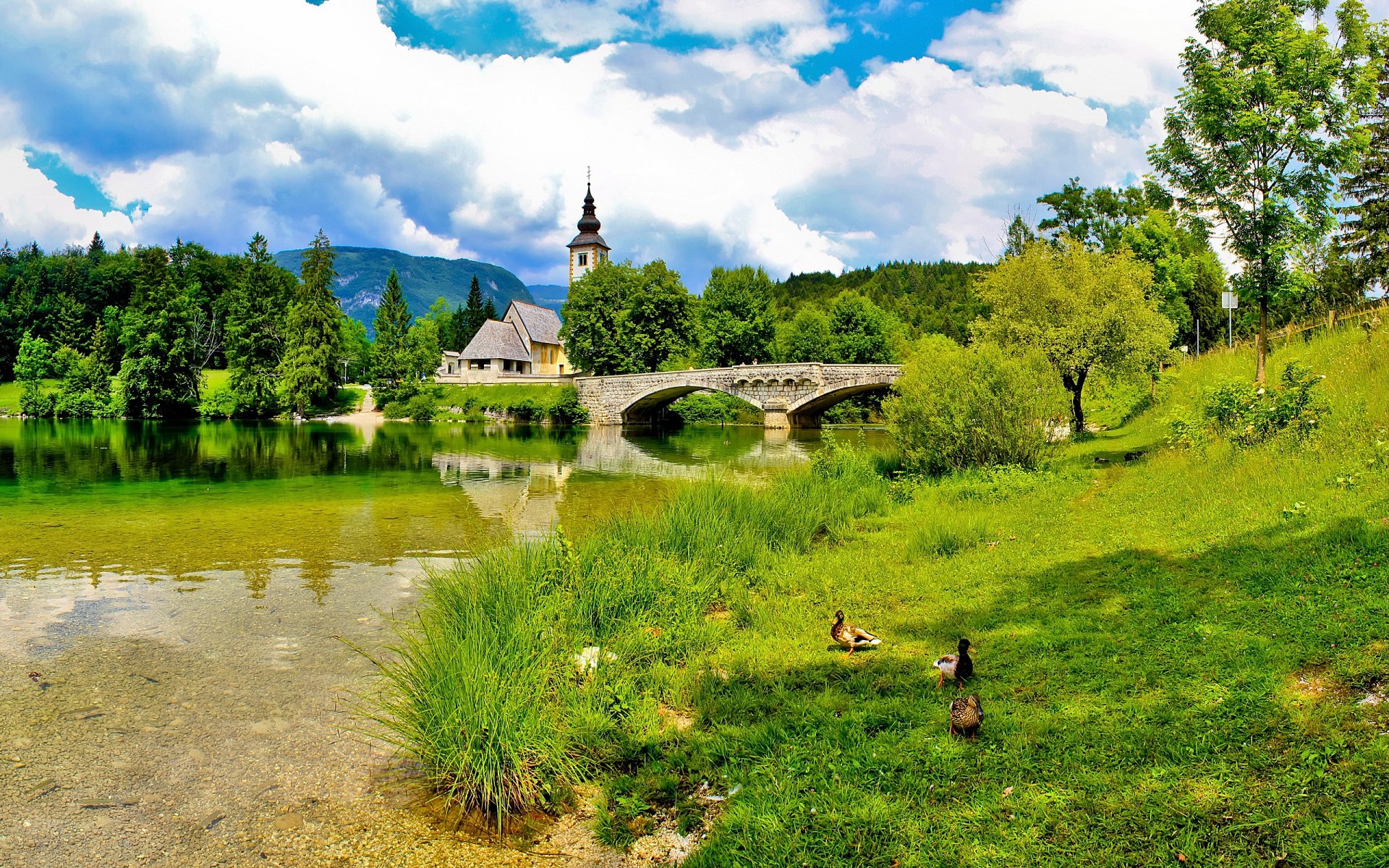 slovenia ponte chiesa erba cielo sole estate nuvole