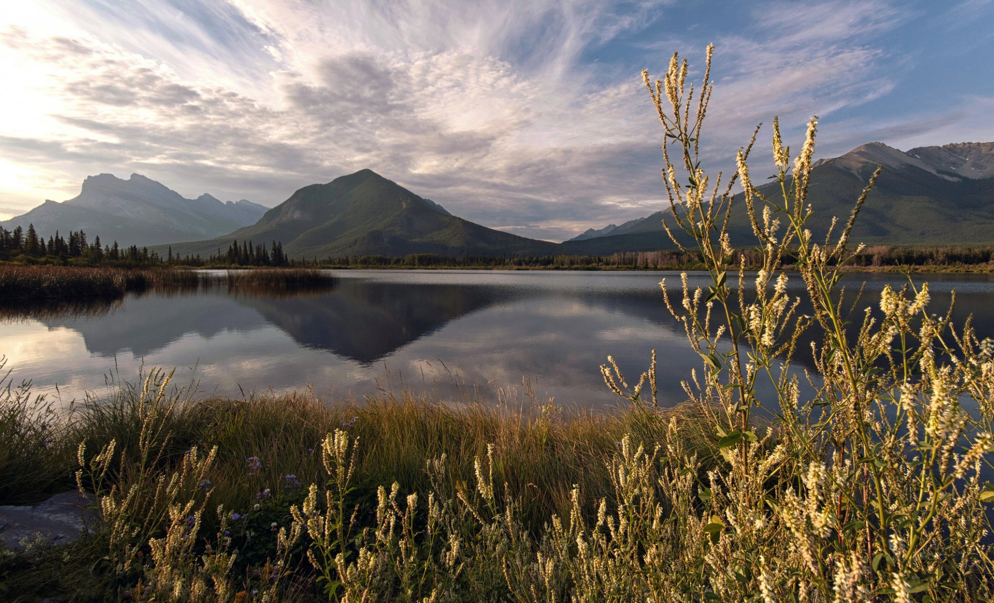 mountain lake reflection summer